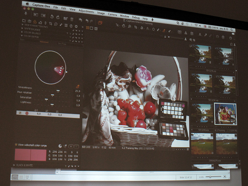 <b>画像の一部だけ色を残すこともできる。カラーホイールで細かく色の範囲を調整可能</b>