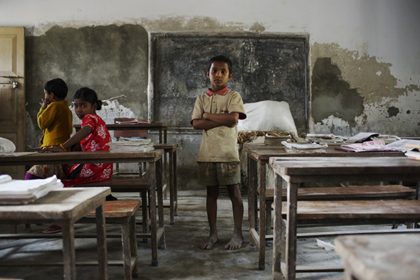 <b>(c)Ichigo Sugawara</b>