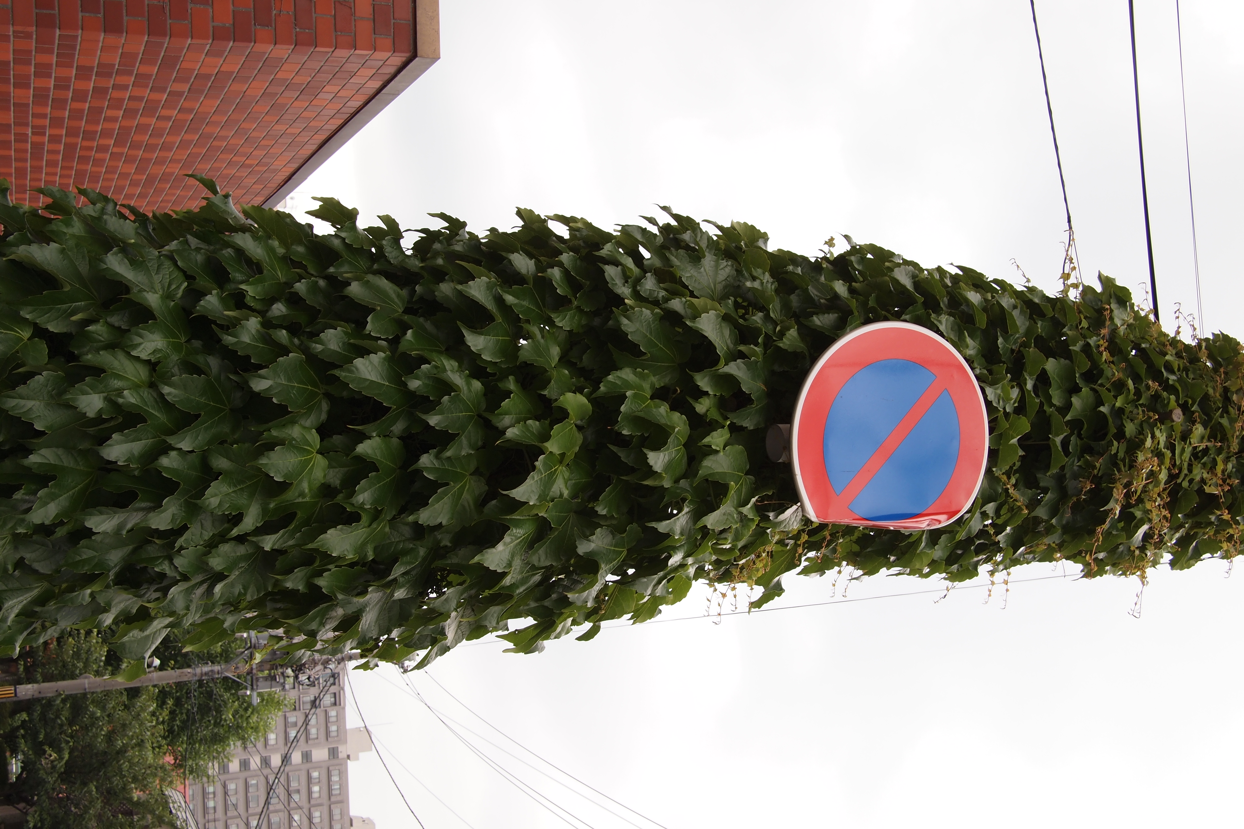 <b>まったくそういうふうには見えませんけど電柱です。上のほうにはちゃんと電線とかも付いてます。E-PL2 / LUMIX G 20mm F1.7 ASPH. / 4,032×2,688 / 絞り優先AE / 1/100秒 / F8 / 0.3EV / ISO200 / WB:オート / 20mm</b>