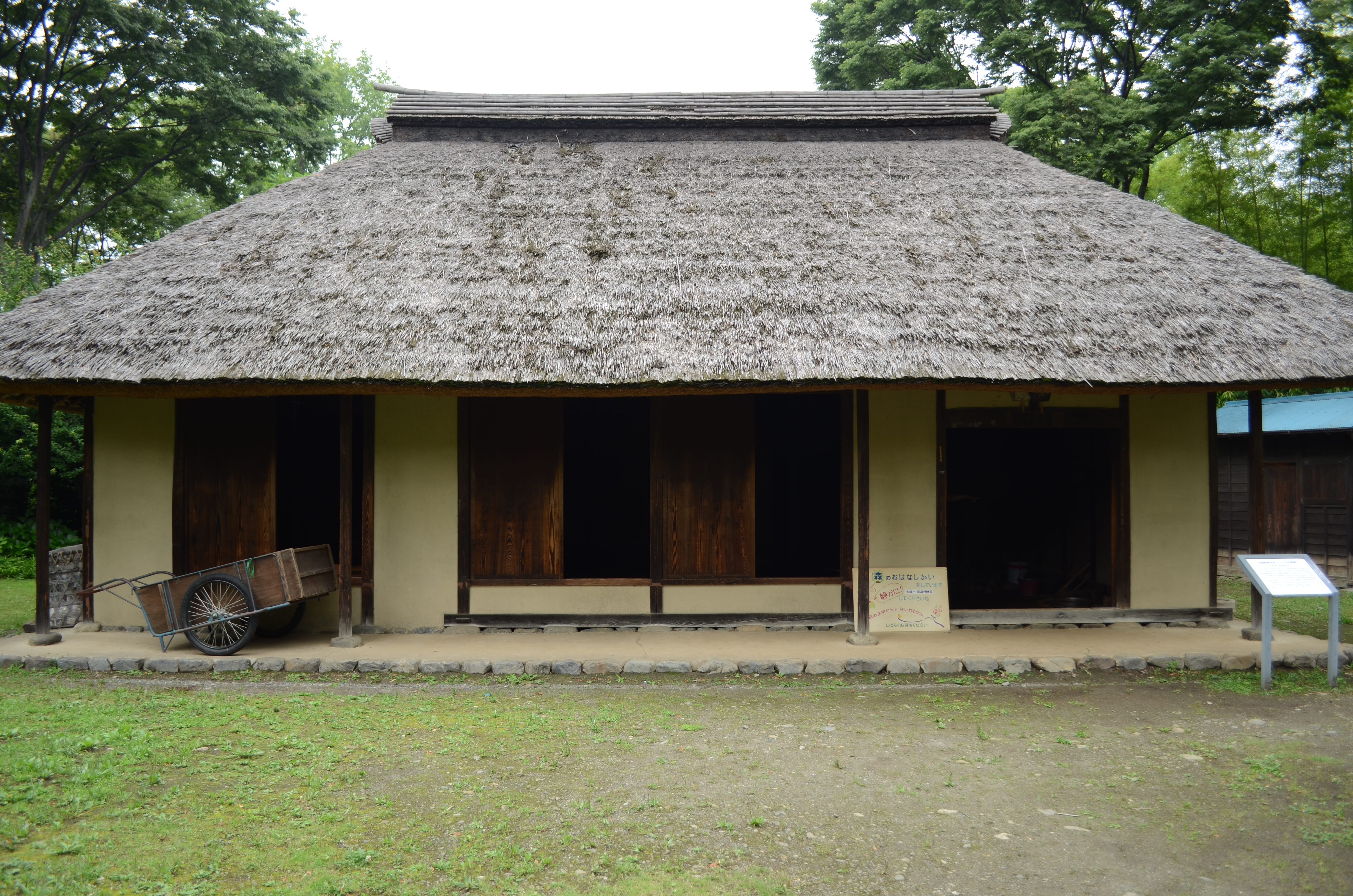 <b>D7000 / AF-S DX NIKKOR 18-55mm F3.5-5.6 G VR / 約9.1MB / 4,928×3,264 / 1/50秒 / F3.5 / -0.3EV / ISO100 / WB:晴天 / 18mm</b>