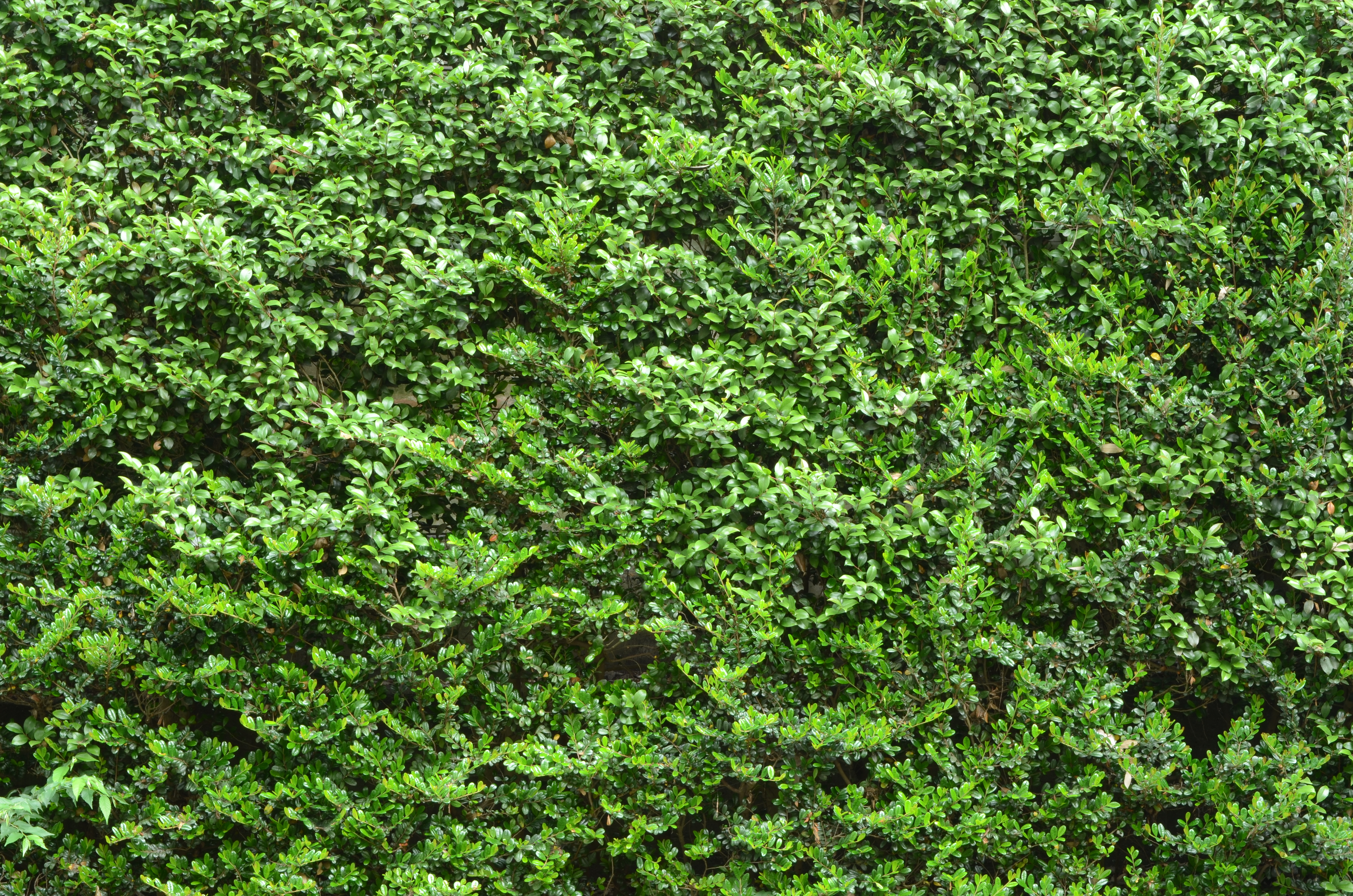 <b>D7000 / AF-S DX NIKKOR 18-55mm F3.5-5.6 G VR / 約12.8MB / 4,928×3,264 / 4秒 / F16 / -0.7EV / ISO100 / WB:晴天 / 55mm</b>