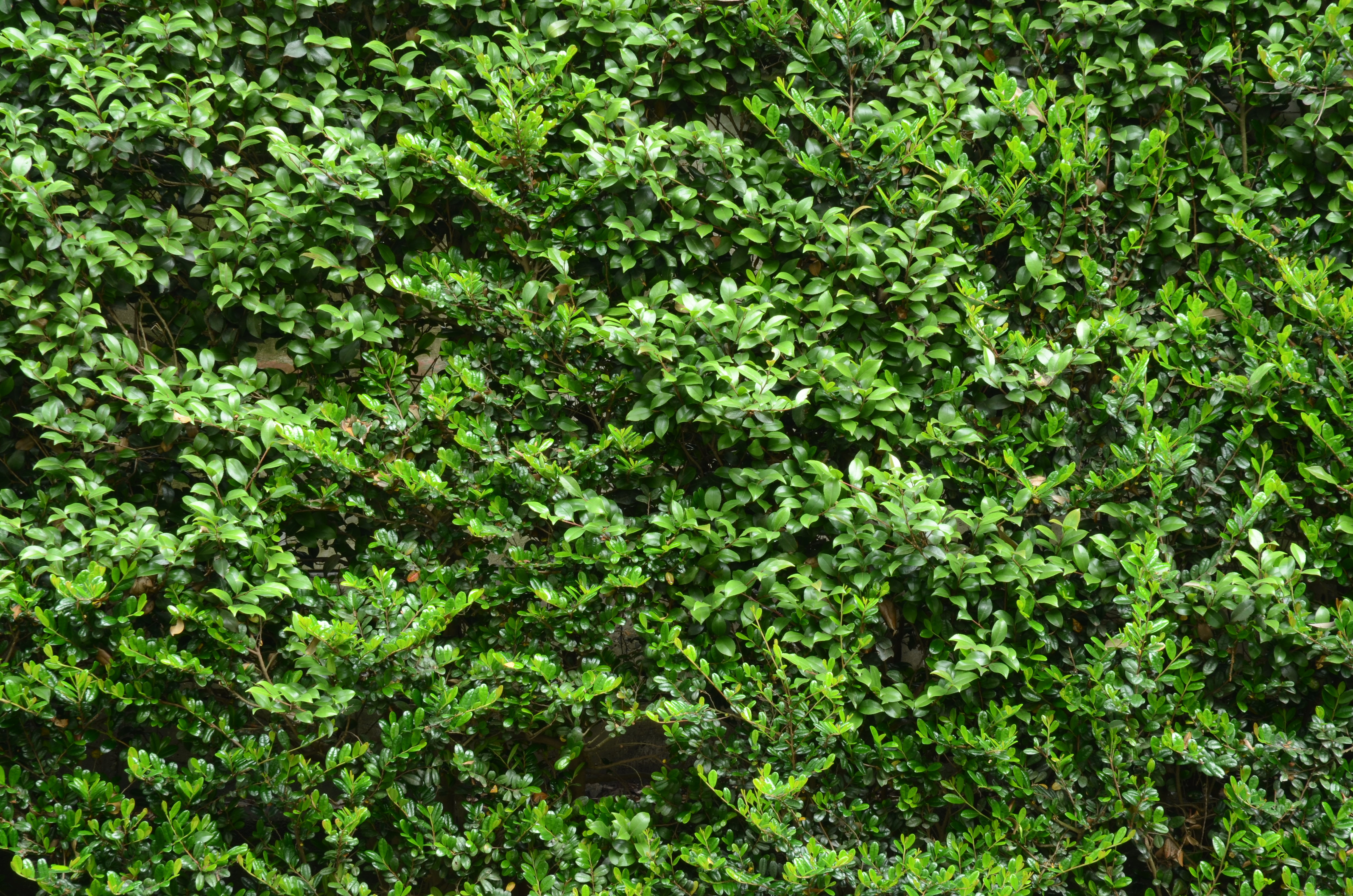 <b>D7000 / AF-S DX NIKKOR 16-85mm F3.5-5.6 G ED VR / 約10.6MB / 4,928×3,264 / 4秒 / F16 / -0.7EV / ISO100 / WB:晴天 / 85mm</b>