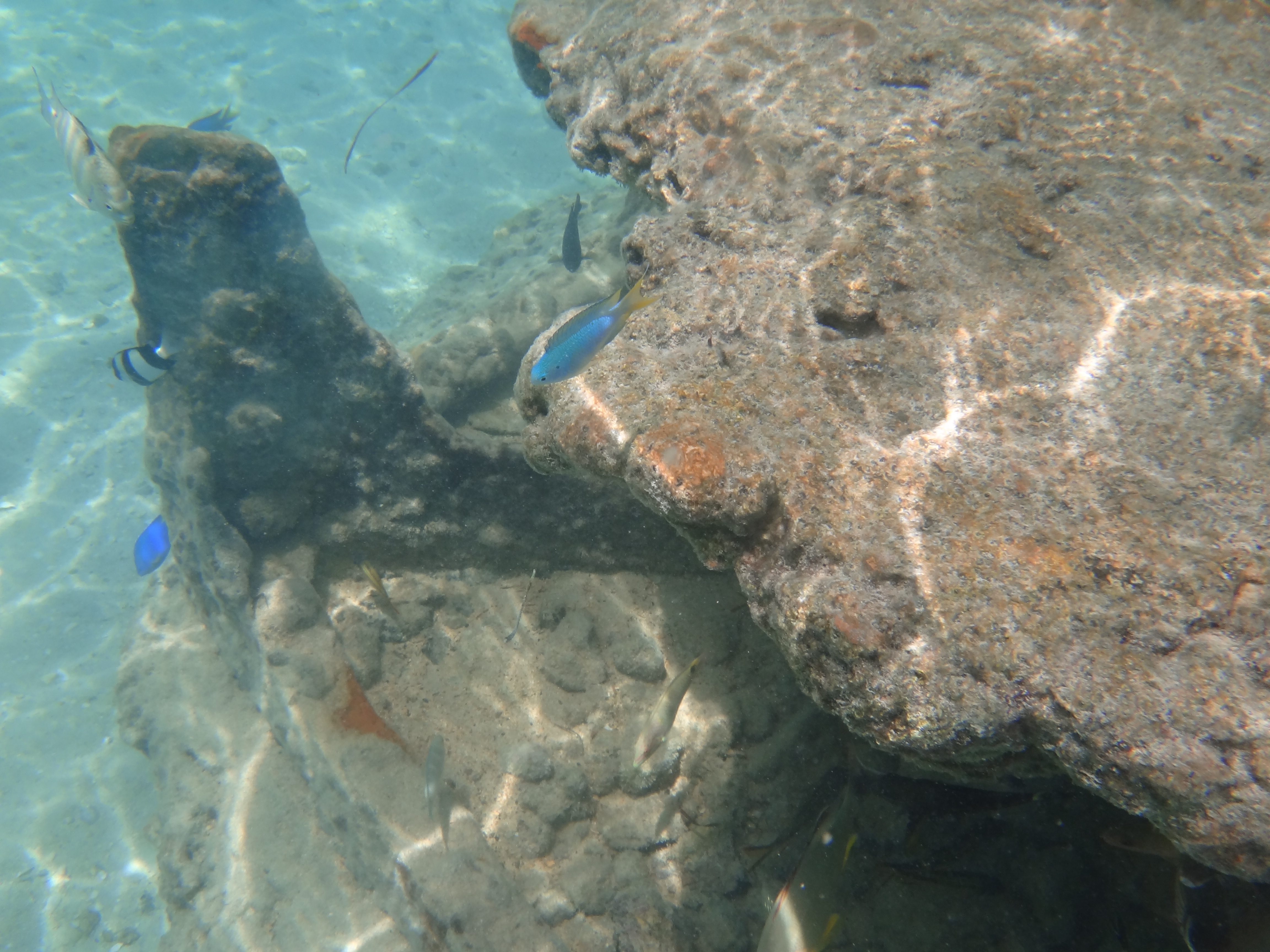 <b>DSC-TX10 / 約3.7MB / 4,608×3,456 / 1/800秒 / F4.5 / 0EV / ISO125 / 4.4mm</b>