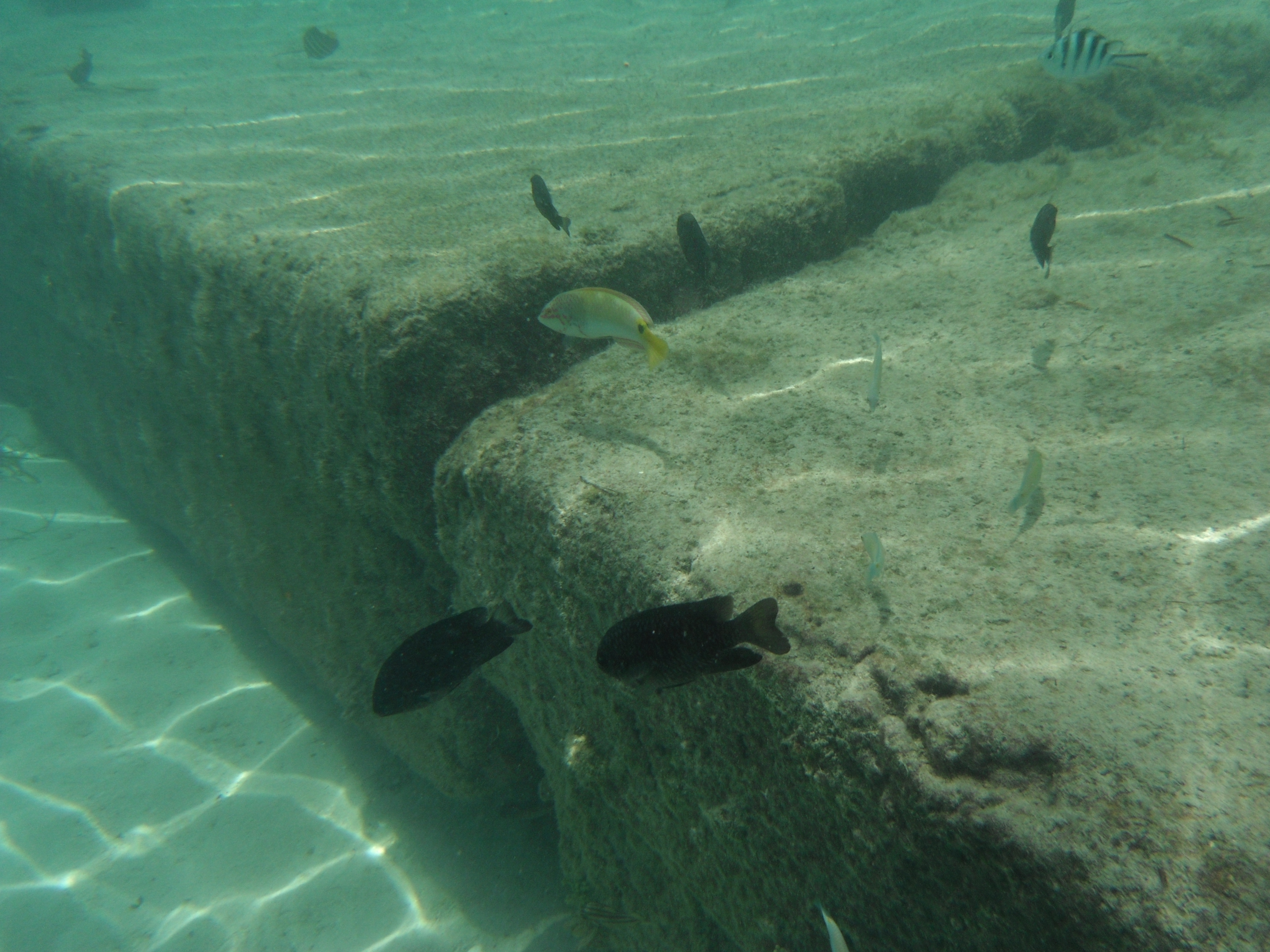 <b>FinePix XP30 / 約5.6MB / 4,320×3,240 / 1/550秒 / F6.2 / 0EV / ISO100 / 5mm</b>