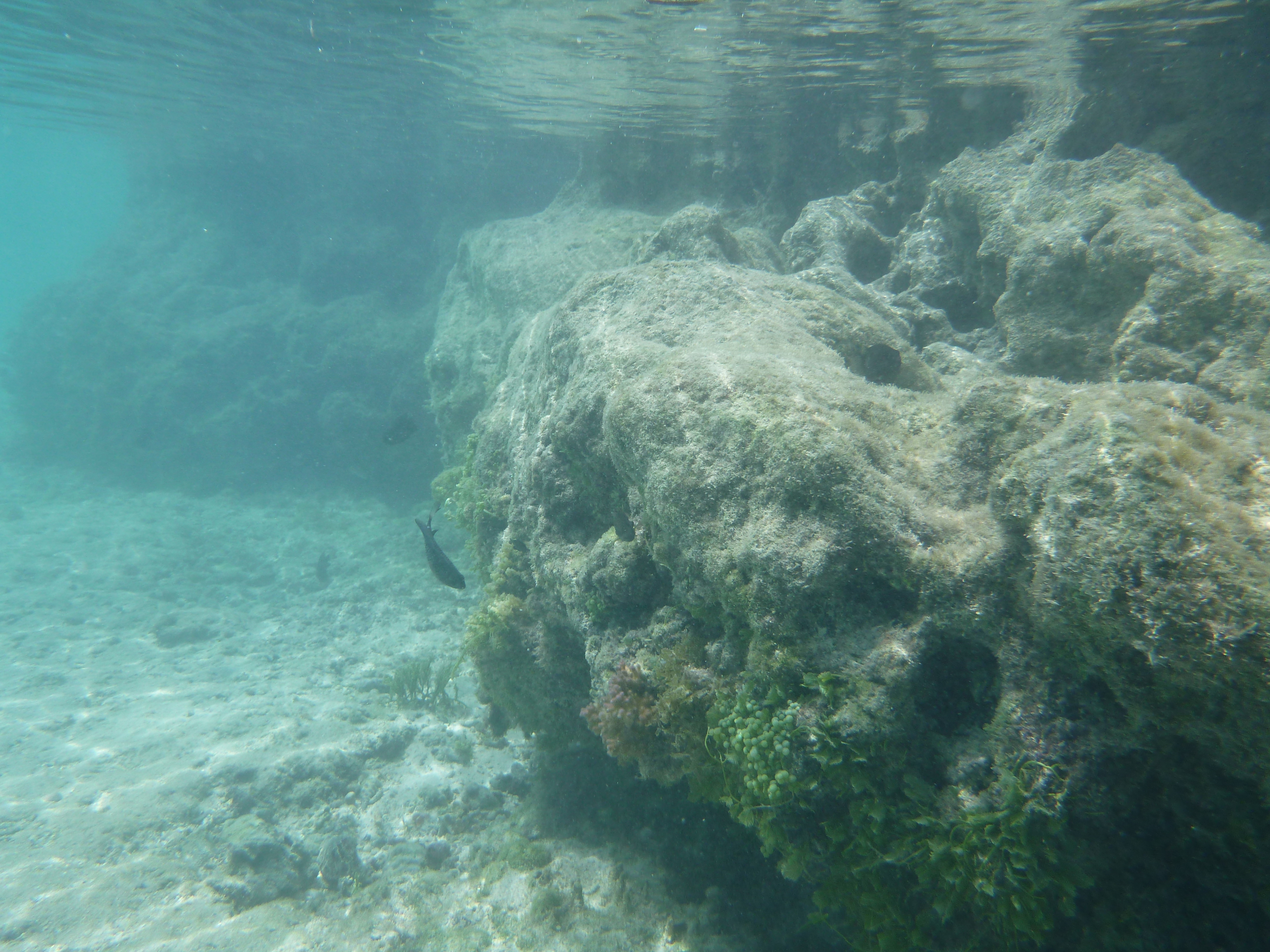 <b>DMC-FT3 / 約4.8MB / 4,000×3,000 / 1/640秒 / F3.3 / 0EV / ISO100 / 4.9mm</b>