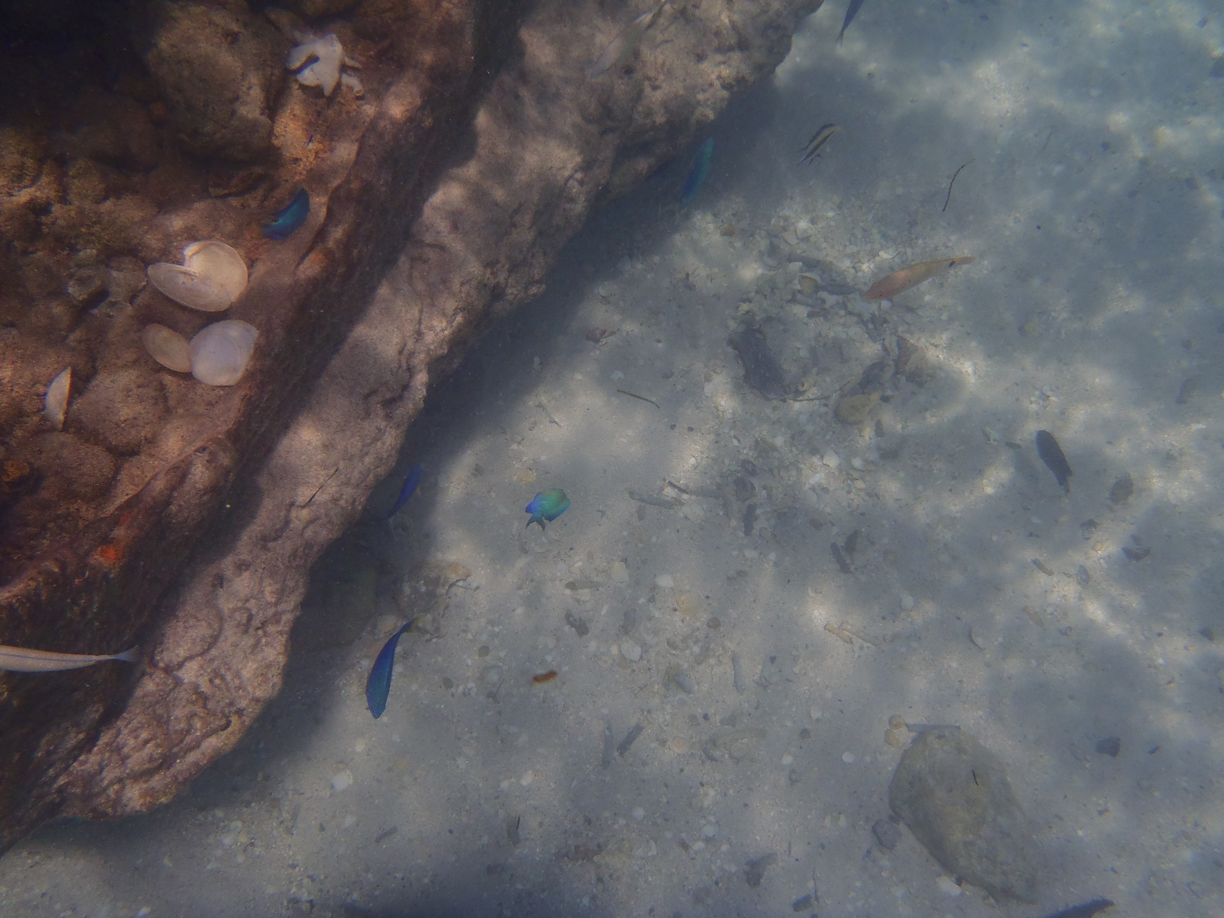 <b>TG-810 / 約5.5MB / 4,288×3,216 / 1/1,250秒 / F3.9 / 0EV / ISO80 / 5mm</b>