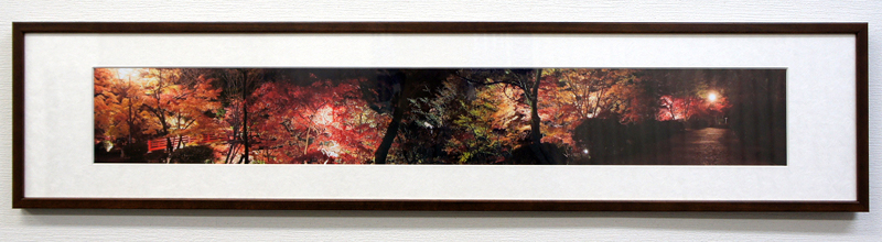 <b>パノラマフォトフレーム 角細ブルー Lサイズ×スイングパノラマ ワイド有り</b>