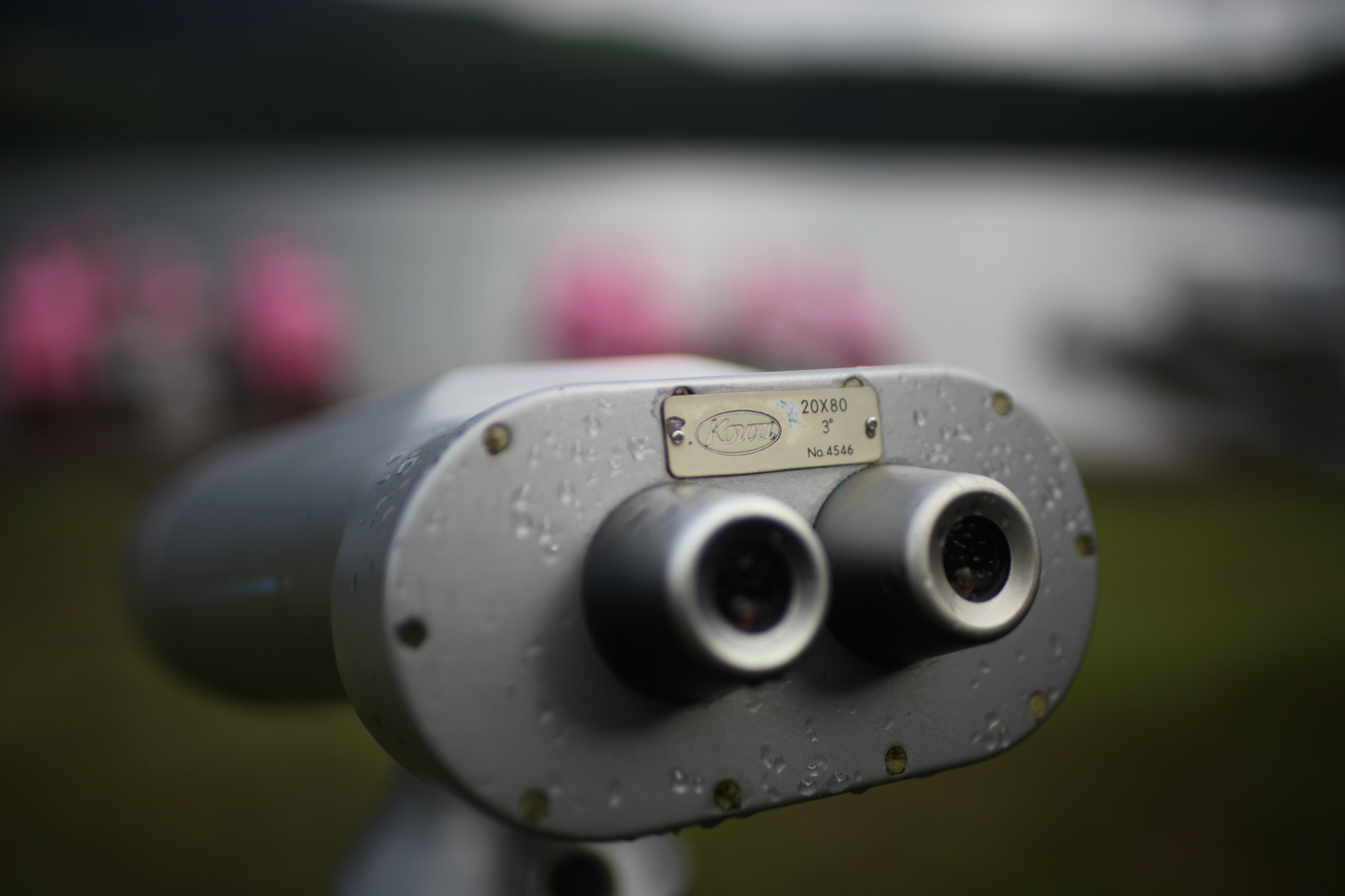 <b>EOS 5D Mark II / Distagon T* 1.4/35 ZE / 約3.6MB / 5,616×3,744 / 1/5,000秒 / F1.4 / +0.3EV / ISO100 / WB:オート</b>