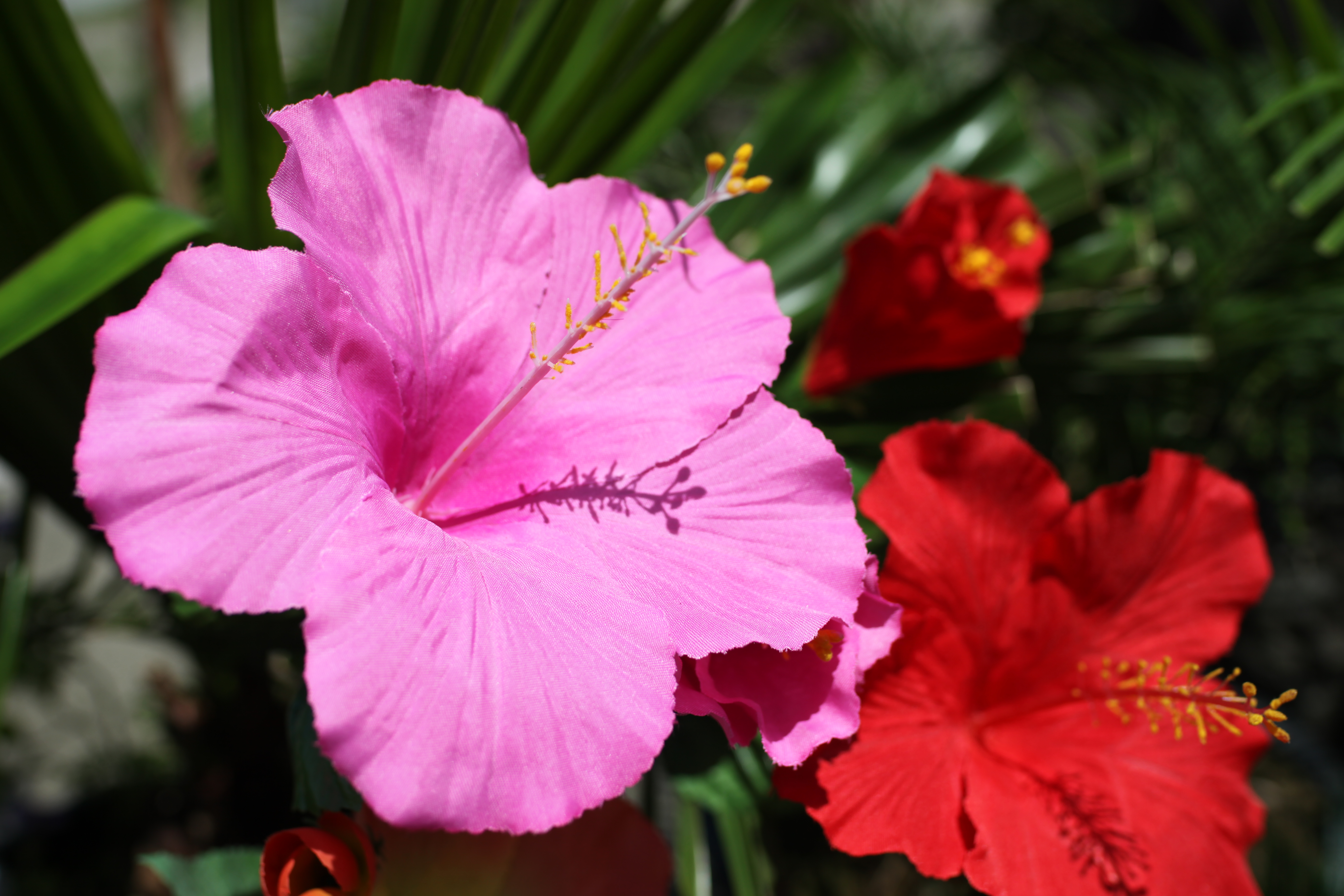 <b>EOS 5D Mark II / Distagon T* 1.4/35 ZE / 約5.2MB / 5,616×3,744 / 1/2,000秒 / F4 / 0.0EV / ISO100 / WB:オート</b>