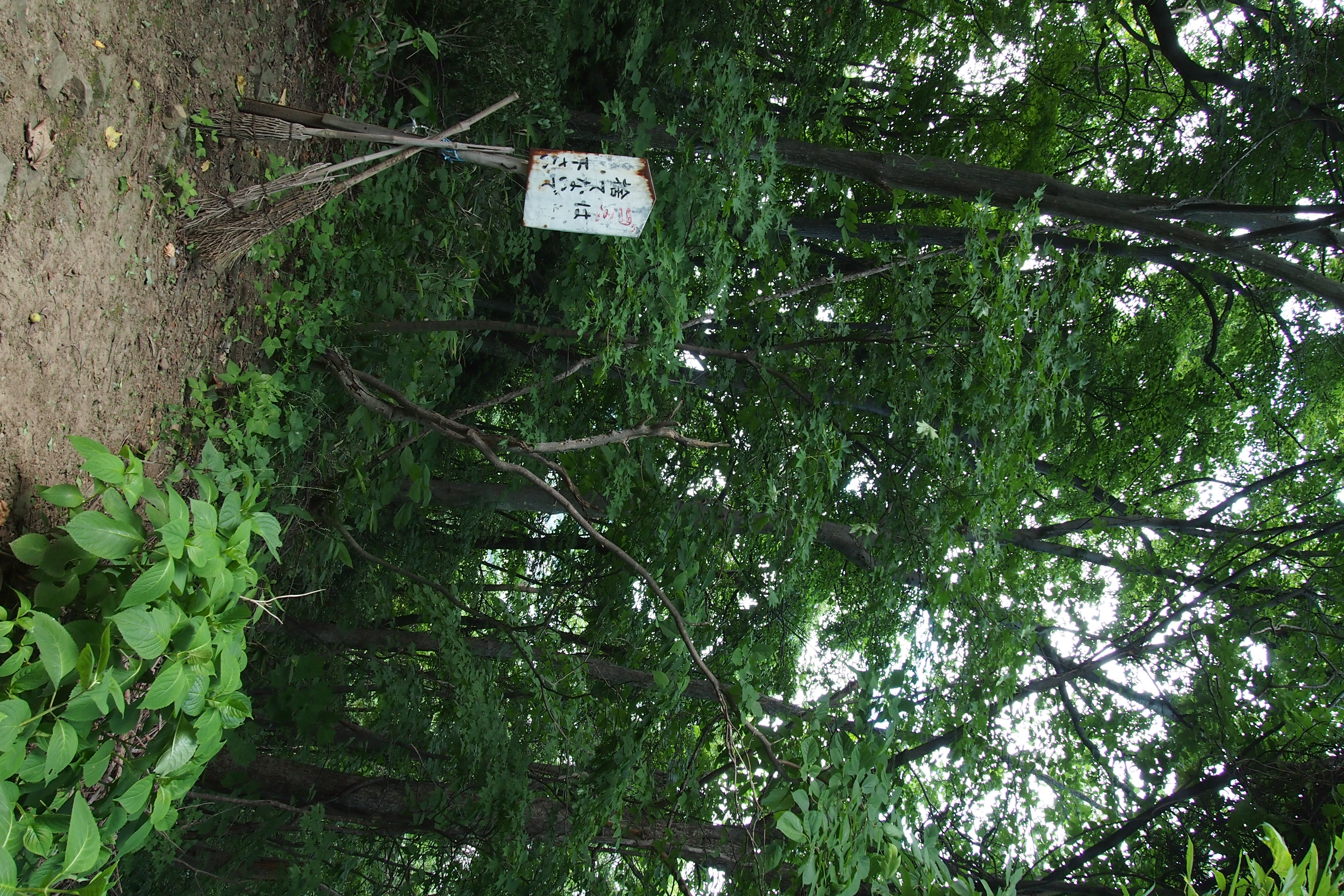 <b>「ゴミは捨てないでください」の看板。ほうきまで置かれているのはめずらしい気がする。E-P3 / M.ZUIKO DIGITAL 14-42mm F3.5-5.6 II R / 4,032×2,688 / 絞り優先AE / 1/40秒 / F8 / -0.7EV / ISO400 / WB:太陽光 / 14mm</b>