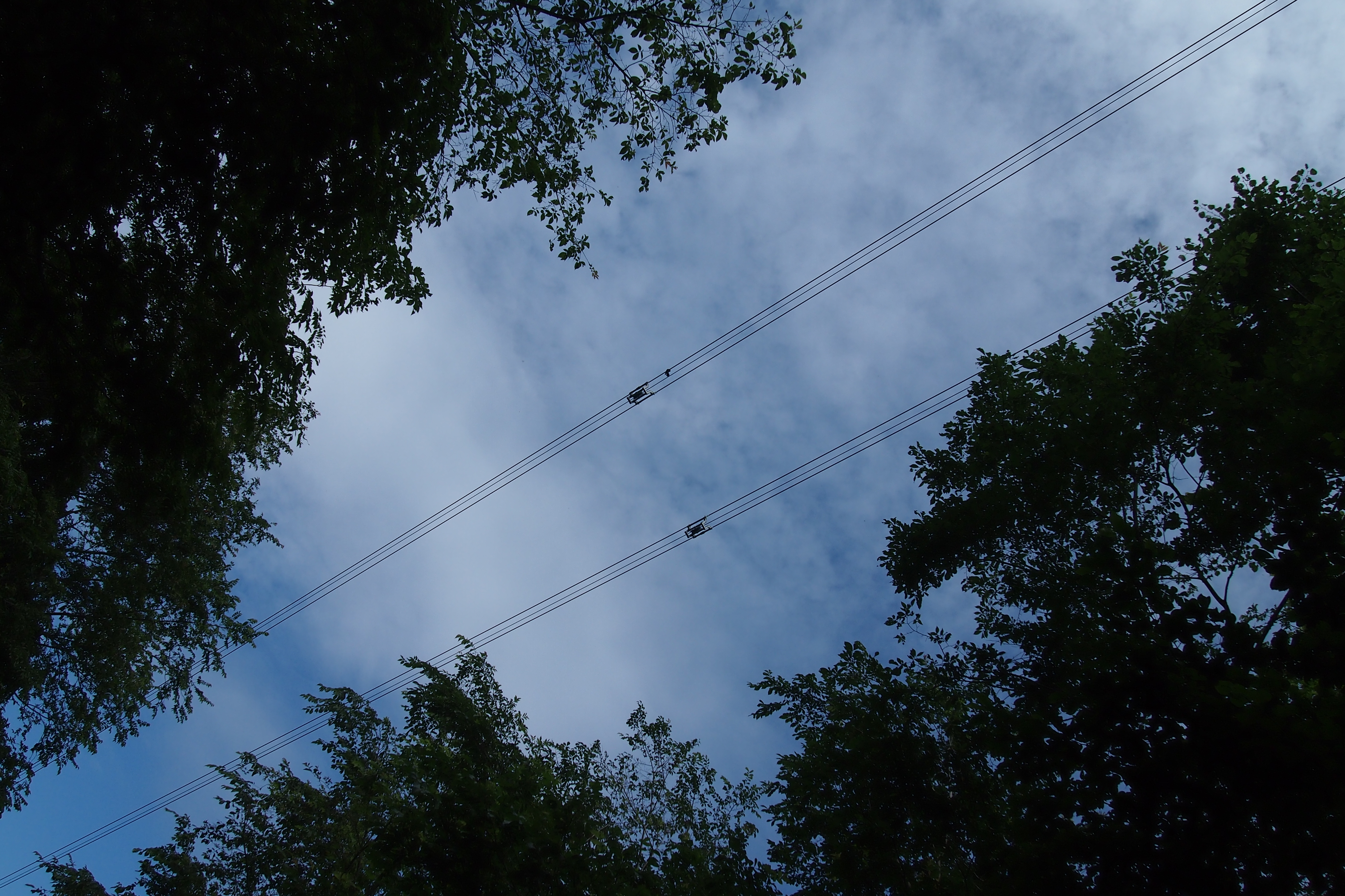 <b>プリントで見れば平気なんだろうけど、シャープネス処理のエッジが少々太め。ピクセル等倍で見るのが当たり前状態なので、ちょっと気になる。E-P3 / M.ZUIKO DIGITAL 14-42mm F3.5-5.6 II R / 4,032×2,688 / 絞り優先AE / 1/1,250秒 / F7.1 / 0EV / ISO200 / WB:太陽光 / 14mm</b>