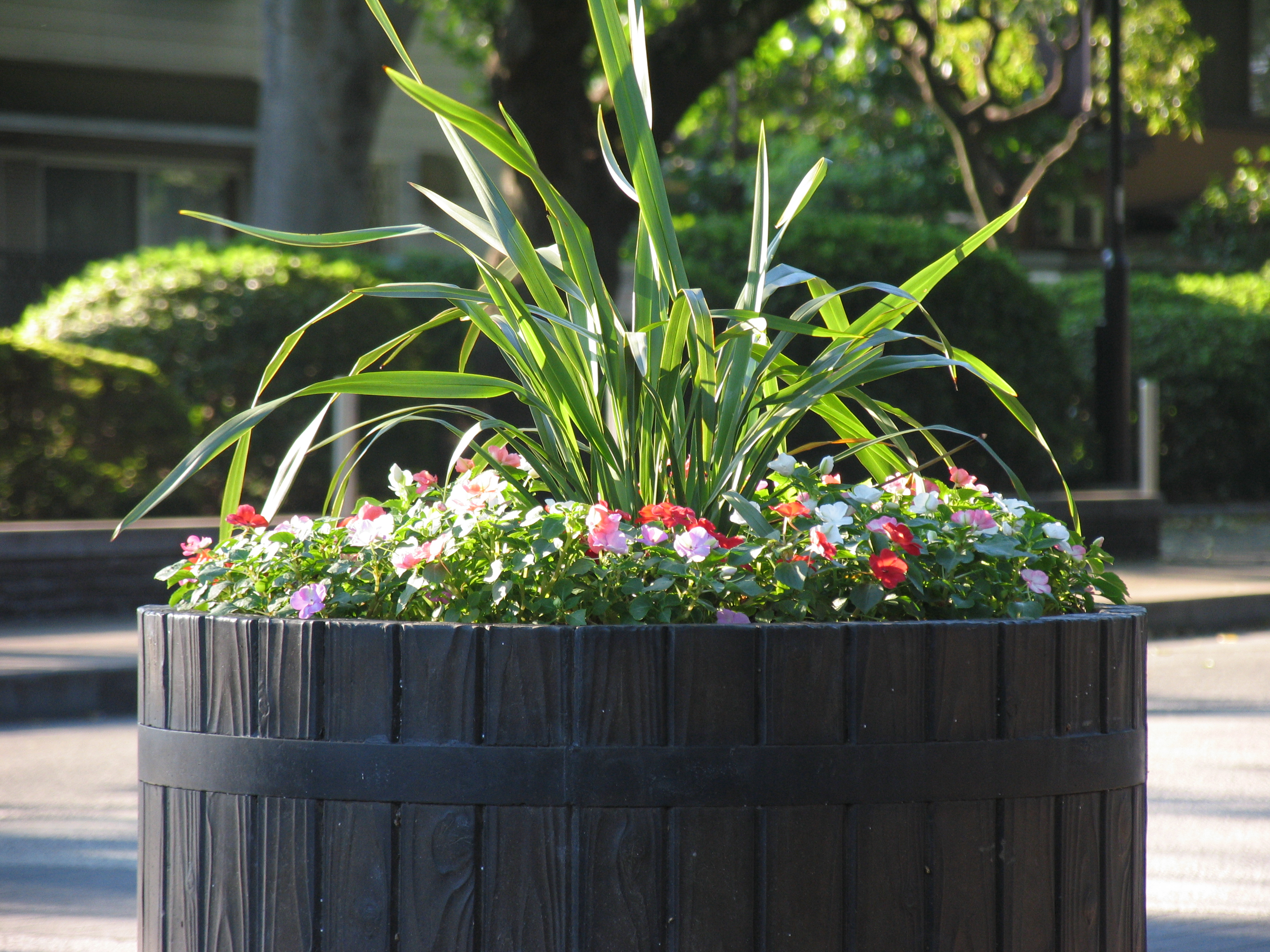 <b>ISO100 / PowerShot Pro1 / 約3.5MB / 3,264×2,448 / 1/125秒 / F3.5 / -0.3EV / WB:オート / 50.8mm</b>