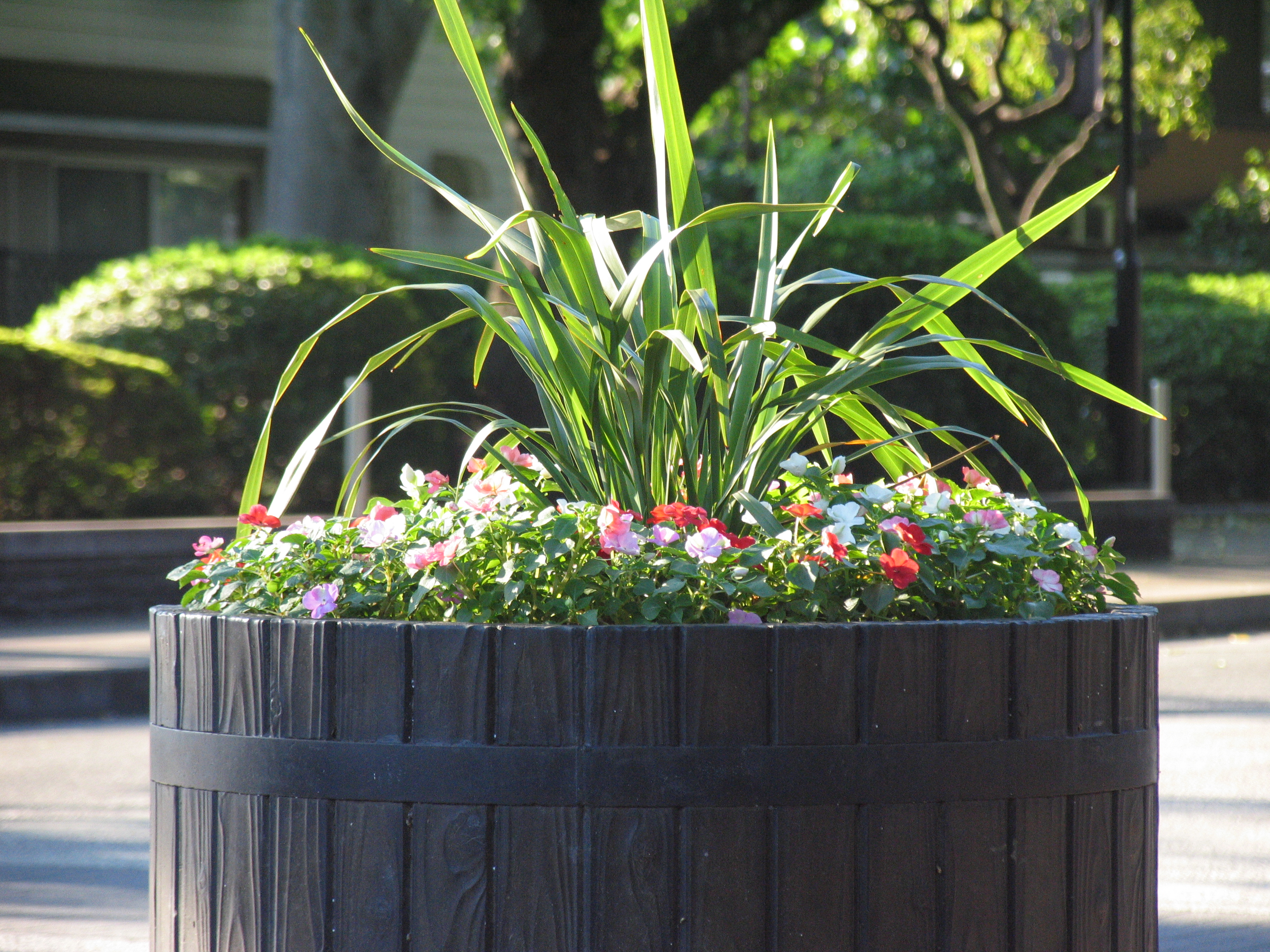 <b>ISO200 / PowerShot Pro1 / 約4.4MB / 3,264×2,448 / 1/250秒 / F3.5 / -0.3EV / WB:太陽光 / 50.8mm</b>