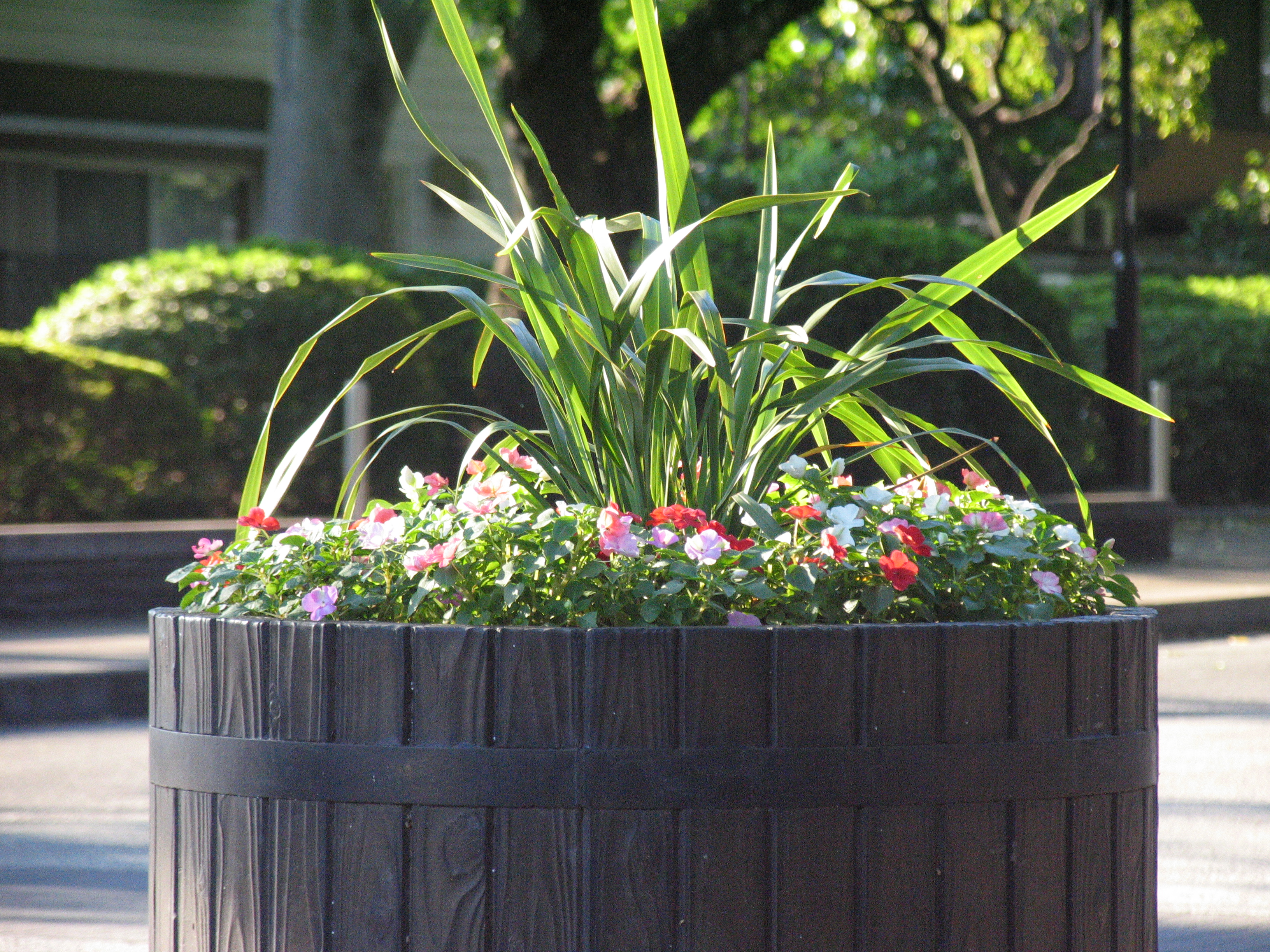 <b>ISO400 / PowerShot Pro1 / 約5.4MB / 3,264×2,448 / 1/500秒 / F3.5 / -0.3EV / WB:太陽光 / 50.8mm</b>