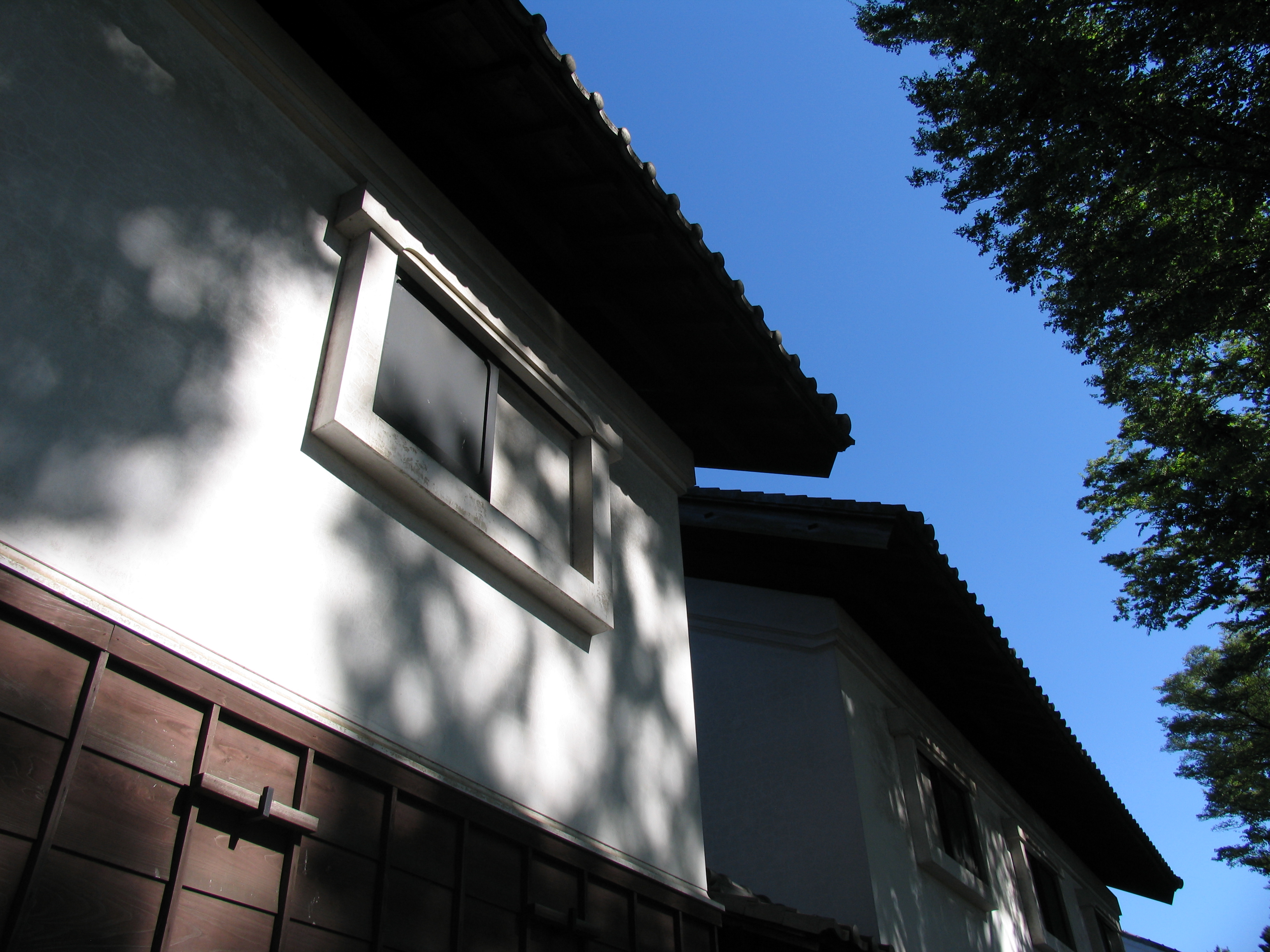 <b>PowerShot Pro1 / 約2.5MB / 3,264×2,448 / 1/400秒 / F4.5 / -0.3EV / ISO50 / WB:オート / 7.2mm</b>