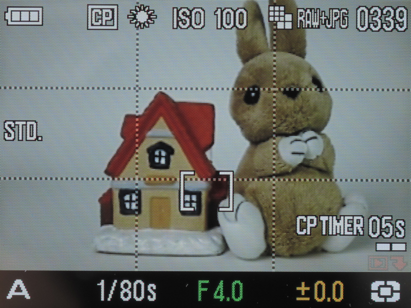 <b>撮影を開始するとタイマーがカウントダウンを開始し、バーグラフが減る</b>