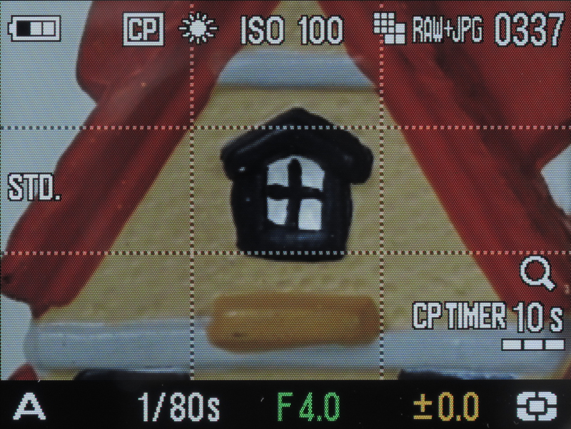 <b>通常のフォーカスフレームで拡大表示にしたところ</b>