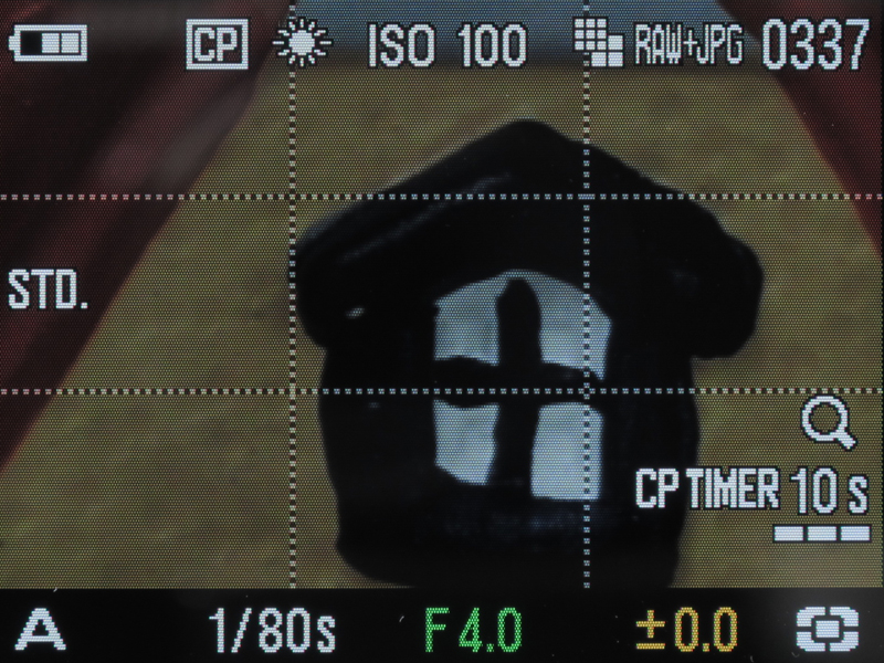 <b>ピンポイントフォーカスフレームで拡大表示したところ。かなりの拡大率になる</b>