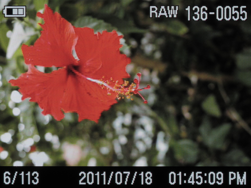 <b>アップデート前（左）とアップデート後（右）の液晶モニターを同一露出で別のカメラで撮影した。フォントのエッジが滑らかになっている</b>