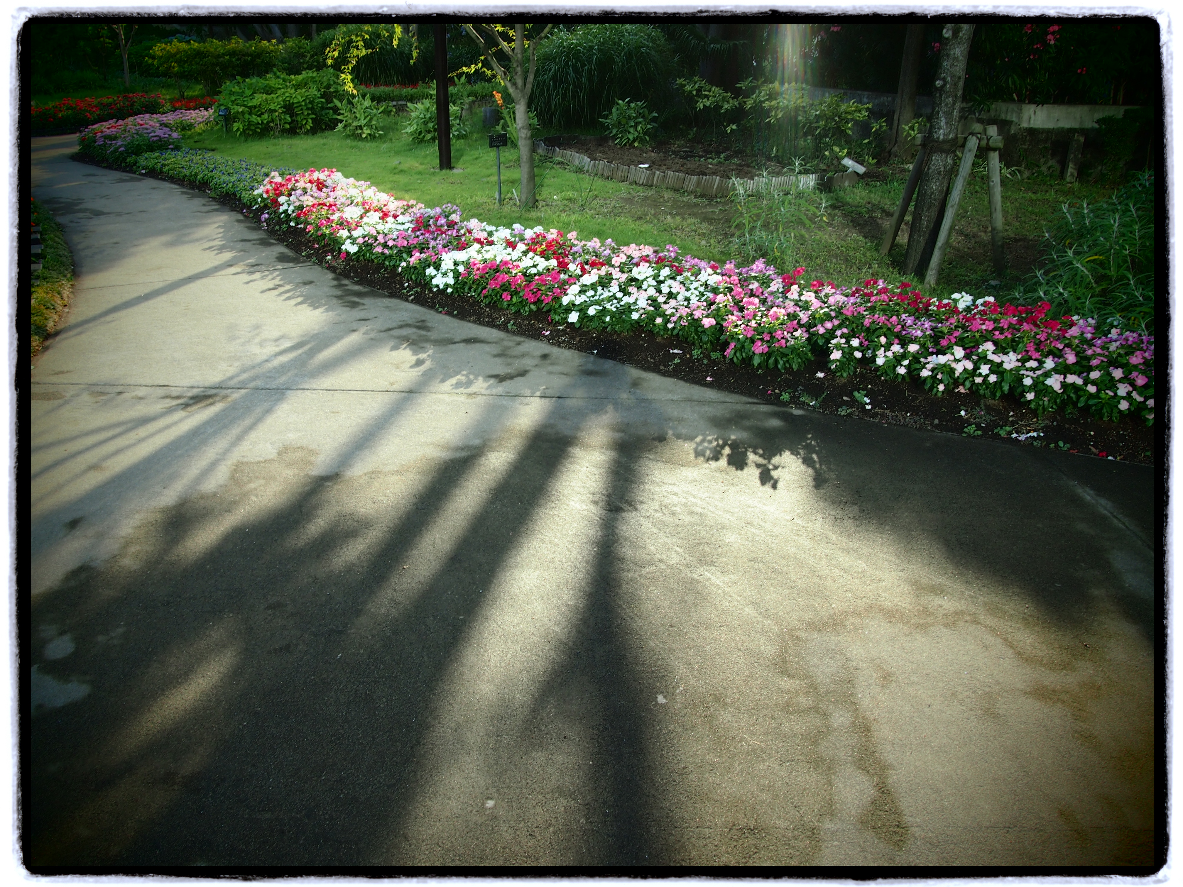 <b>トイフォト。E-P3 / M.ZUIKO DIGITAL 14-42mm F3.5-5.6 II R / 4,032×3,024 / 1/125秒 / F5.6 / 0EV / ISO200 / プログラム / WB:オート / 14mm</b>