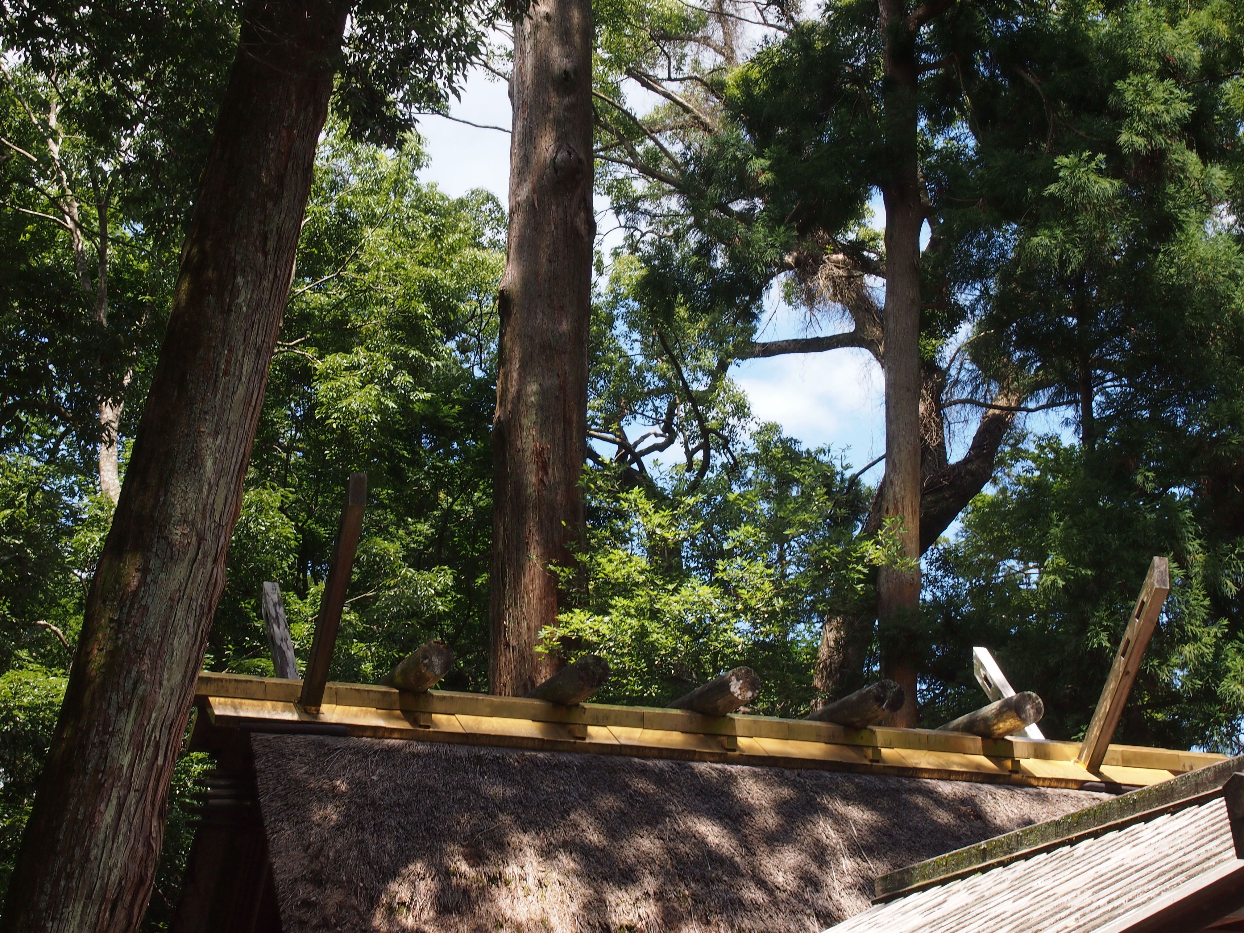 <b>E-P3 / M.ZUIKO DIGITAL 14-42mm F3.5-5.6 II R / 4,032×3,024 / 1/80秒 / F11 / -0.3EV / ISO250 / プログラムAE / WB:オート / 36mm</b>