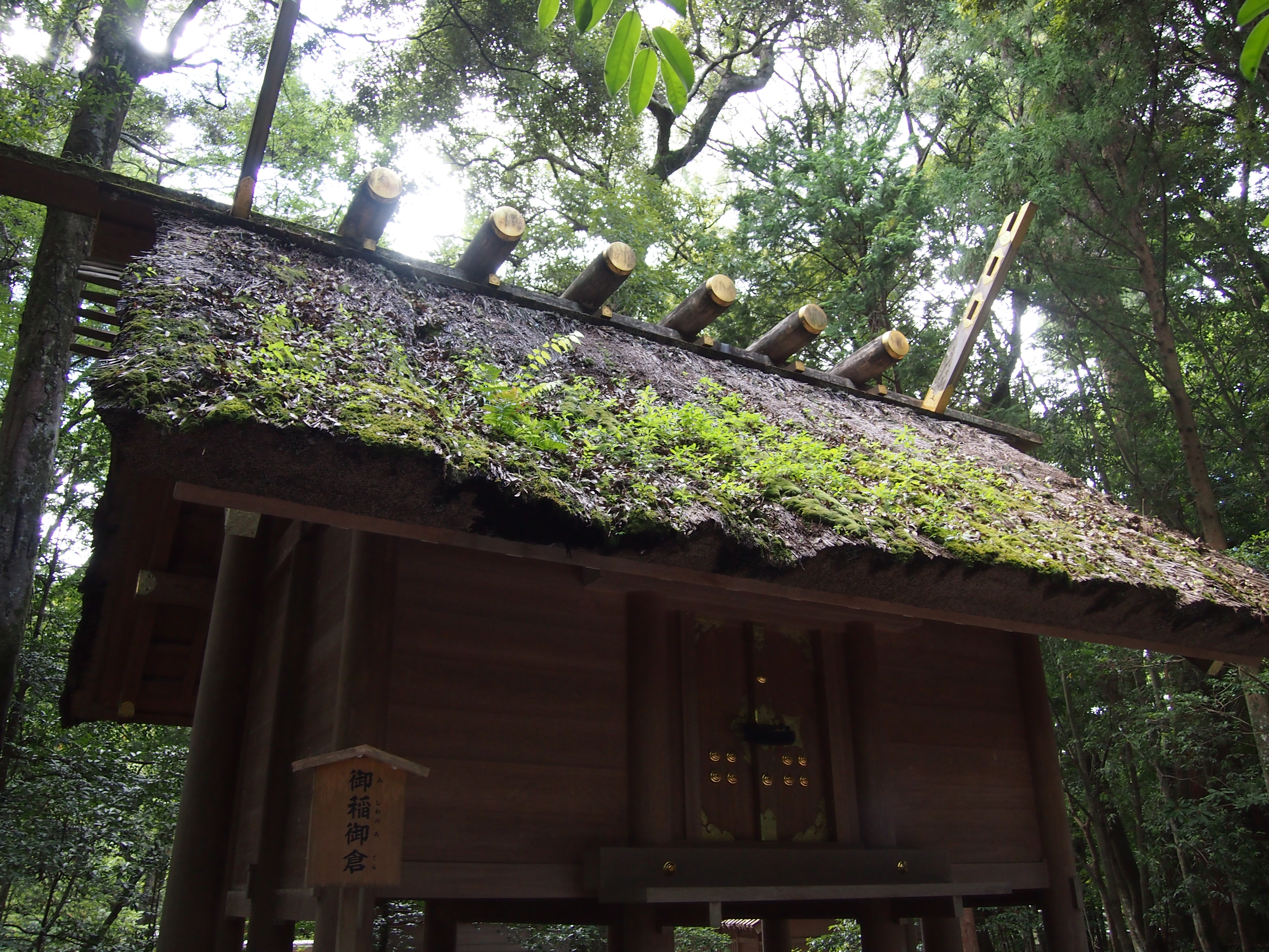 <b>E-P3 / M.ZUIKO DIGITAL 14-42mm F3.5-5.6 II R / 4,032×3,024 / 1/60秒 / F3.5 / -0.3EV / ISO400 / プログラムAE / WB:オート / 14mm</b>