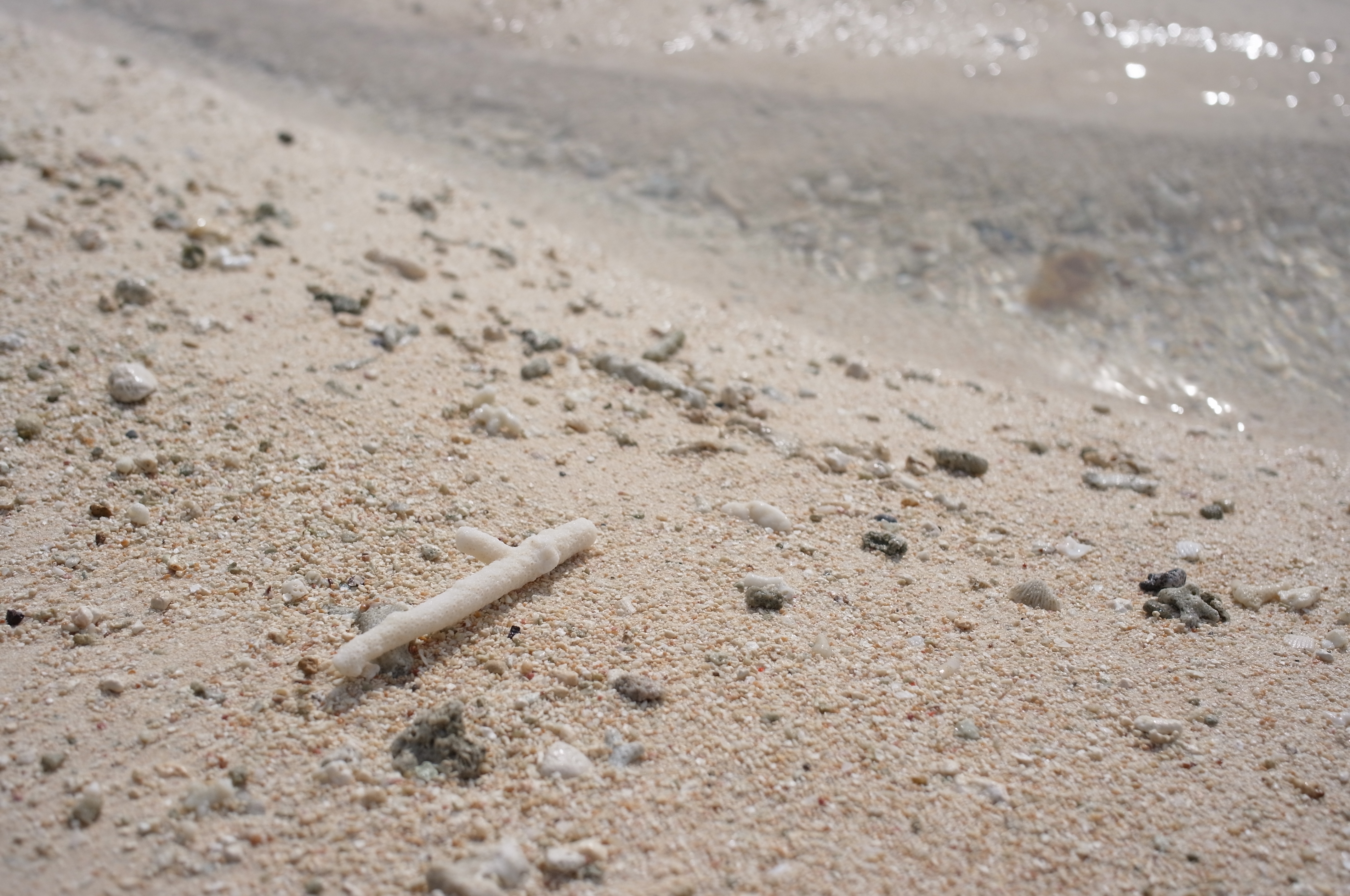 <b>ND2 / GXR / GR LENS A12 28mm F2.5 / 約4.2MB / 4,288×2,848 / 1/1870秒 / F4 / +0.7EV / ISO200 / WB:屋外 / 33mm</b>