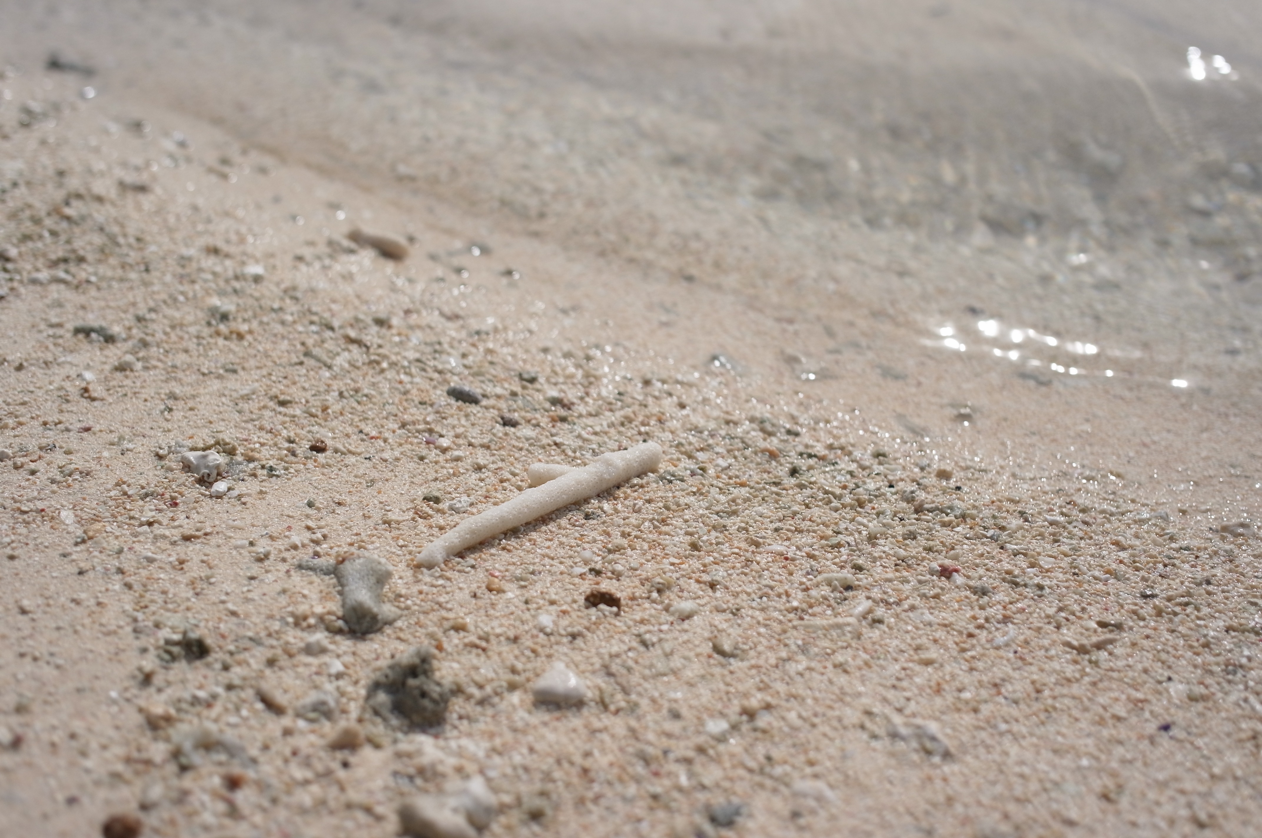 <b>ND4 / GXR / GR LENS A12 28mm F2.5 / 約4.2MB / 4,288×2,848 / 1/1620秒 / F3.2 / +0.7EV / ISO200 / WB:屋外 / 33mm</b>