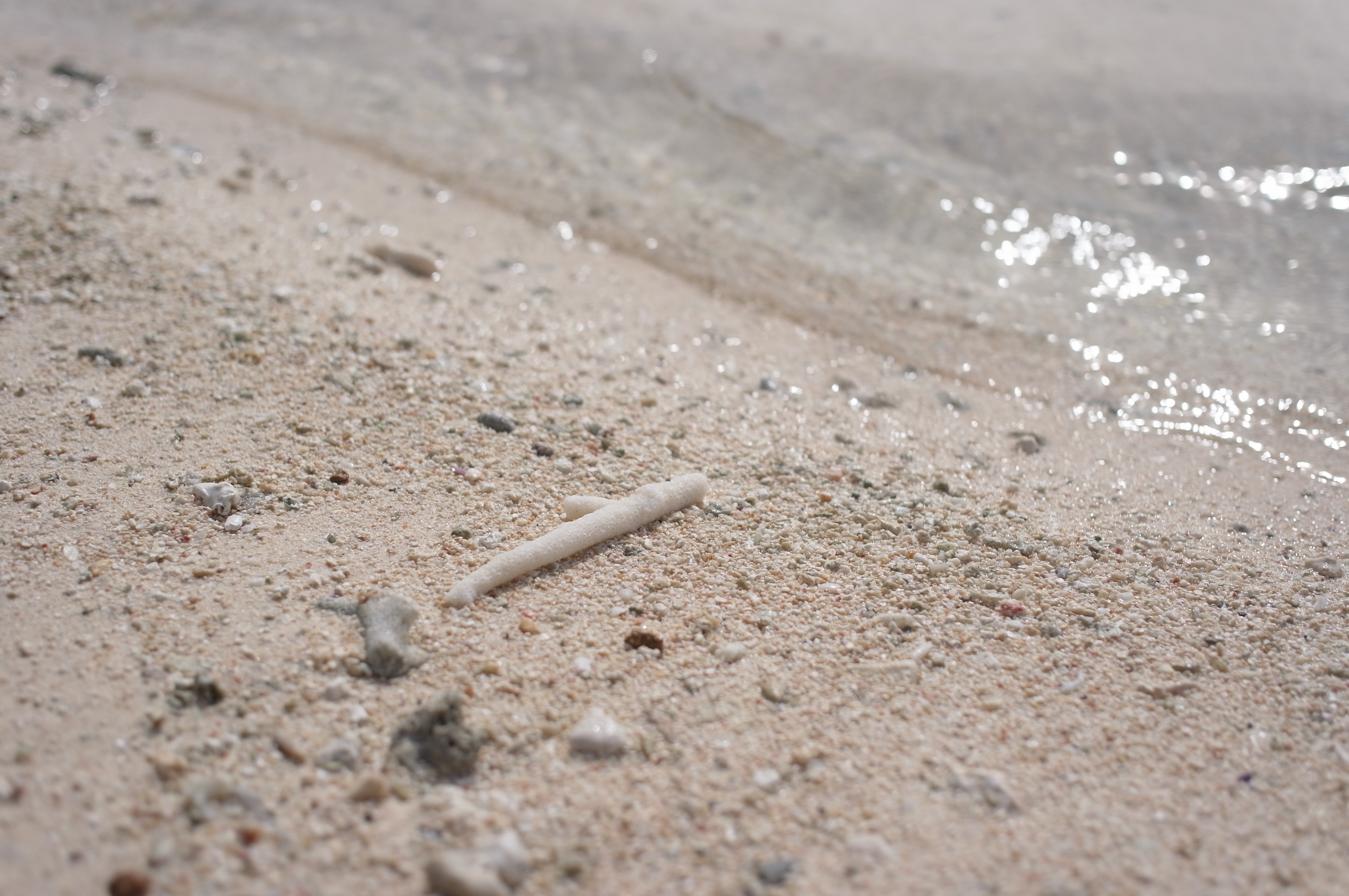 <b>ND2+ND4 / GXR / GR LENS A12 28mm F2.5 / 約4.2MB / 4,288×2,848 / 1/810秒 / F2.8 / +0.7EV / ISO200 / WB:屋外 / 33mm</b>