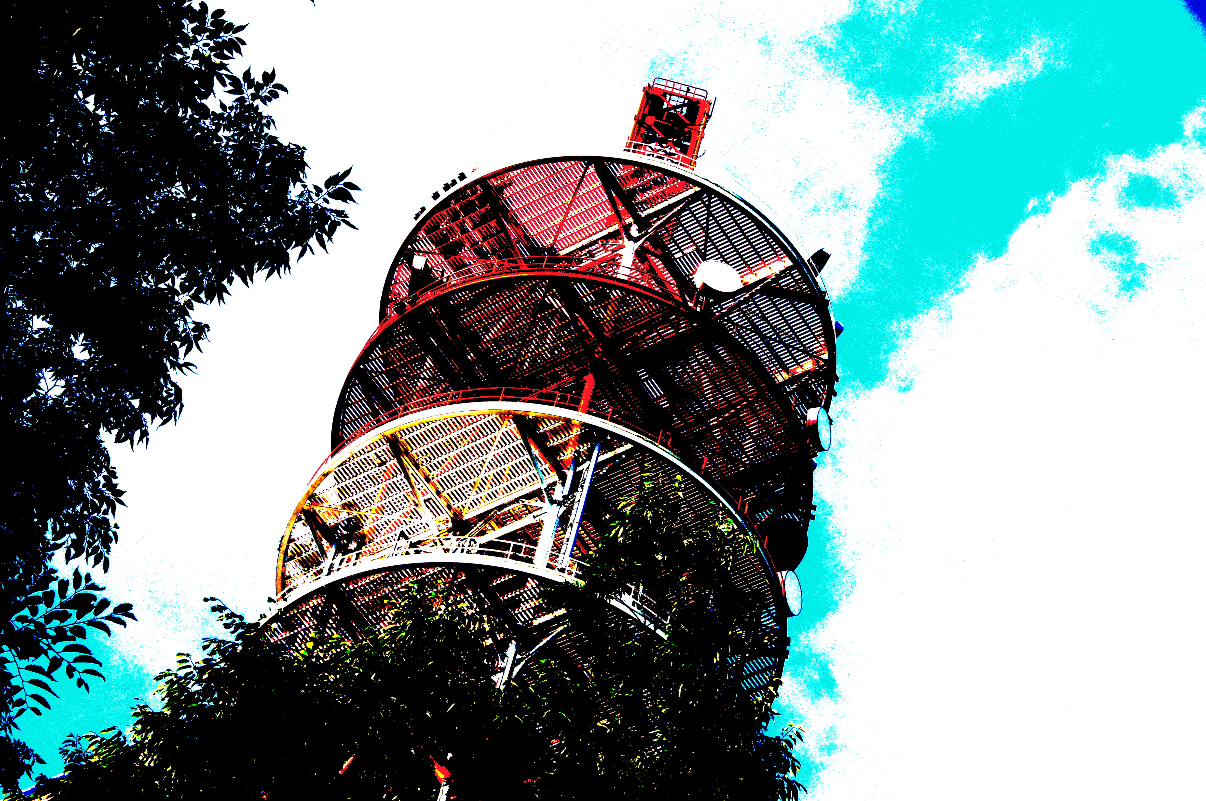 <b>ピクチャーエフェクト:ポスタリゼーション（カラー） / α55 / AF 18-250mm F3.5-6.3 Di II LD Aspherical [IF] Macro / 4,912×3,264 / 1/160秒 / F13 / -0.3EV / ISO100 / オート / WB:オート / 60mm</b>