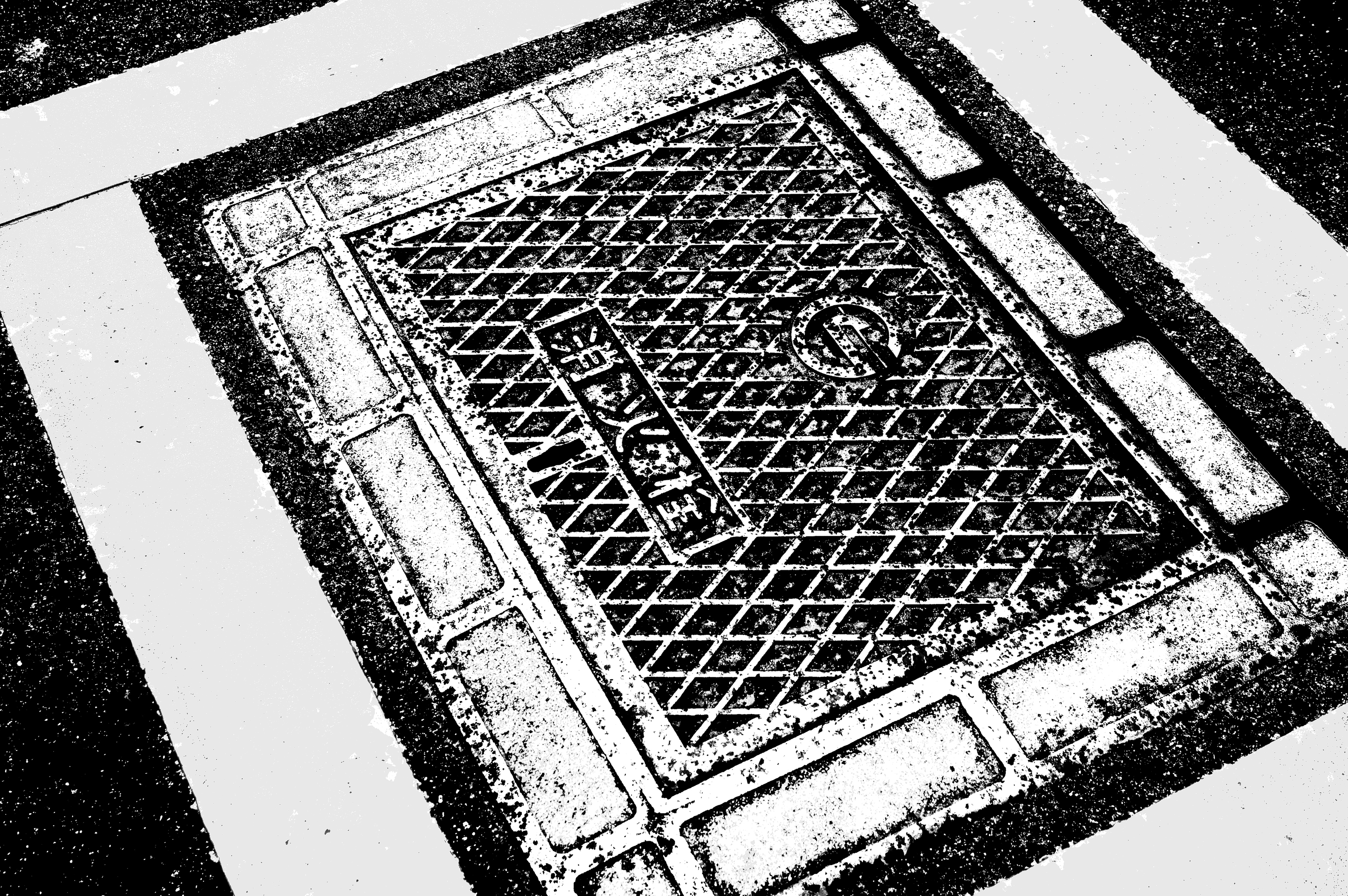 <b>ピクチャーエフェクト:ポスタリゼーション（白黒）α55 / DT 16-80mm F3.5-4.5 ZA / 4,912×3,264 / 1/60秒 / F5.6 / 0EV / ISO100 / オート / WB:オート / 30mm</b>