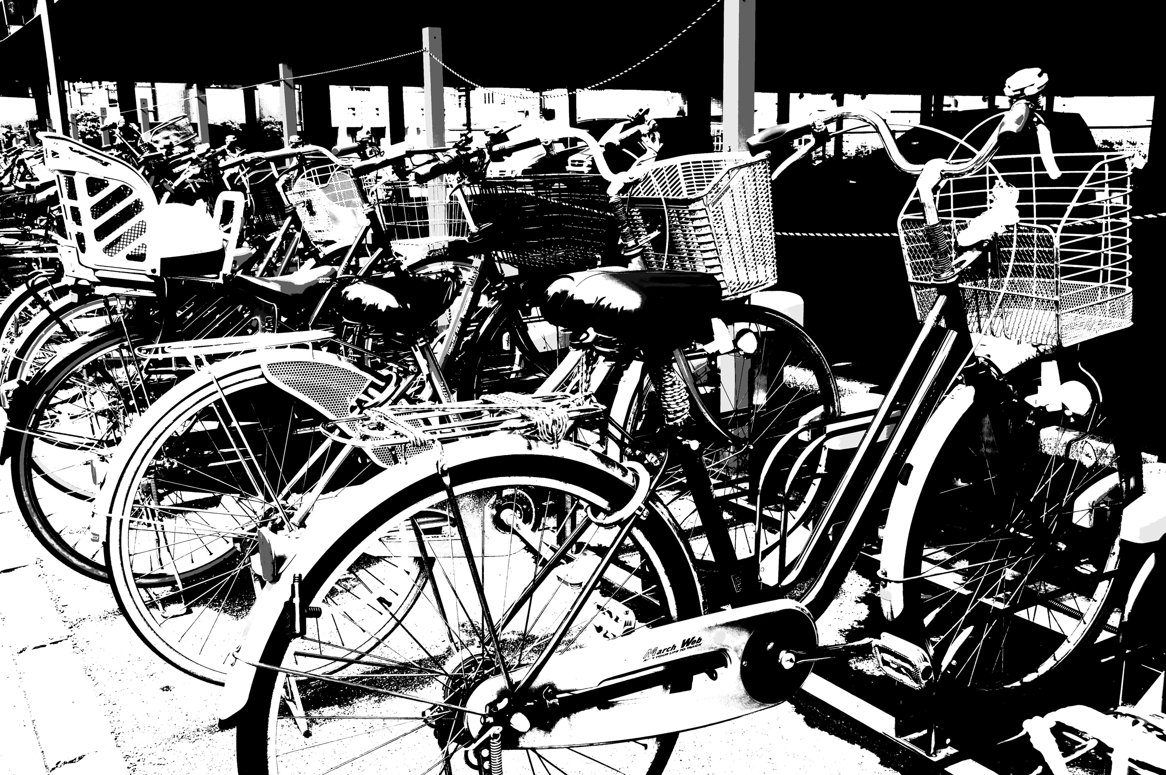 <b>ピクチャーエフェクト:ポスタリゼーション（白黒）α55 / AF 18-250mm F3.5-6.3 Di II LD Aspherical [IF] Macro / 4,912×3,264 / 1/80秒 / F9 / 0EV / ISO100 / オート / WB:オート / 22mm</b>