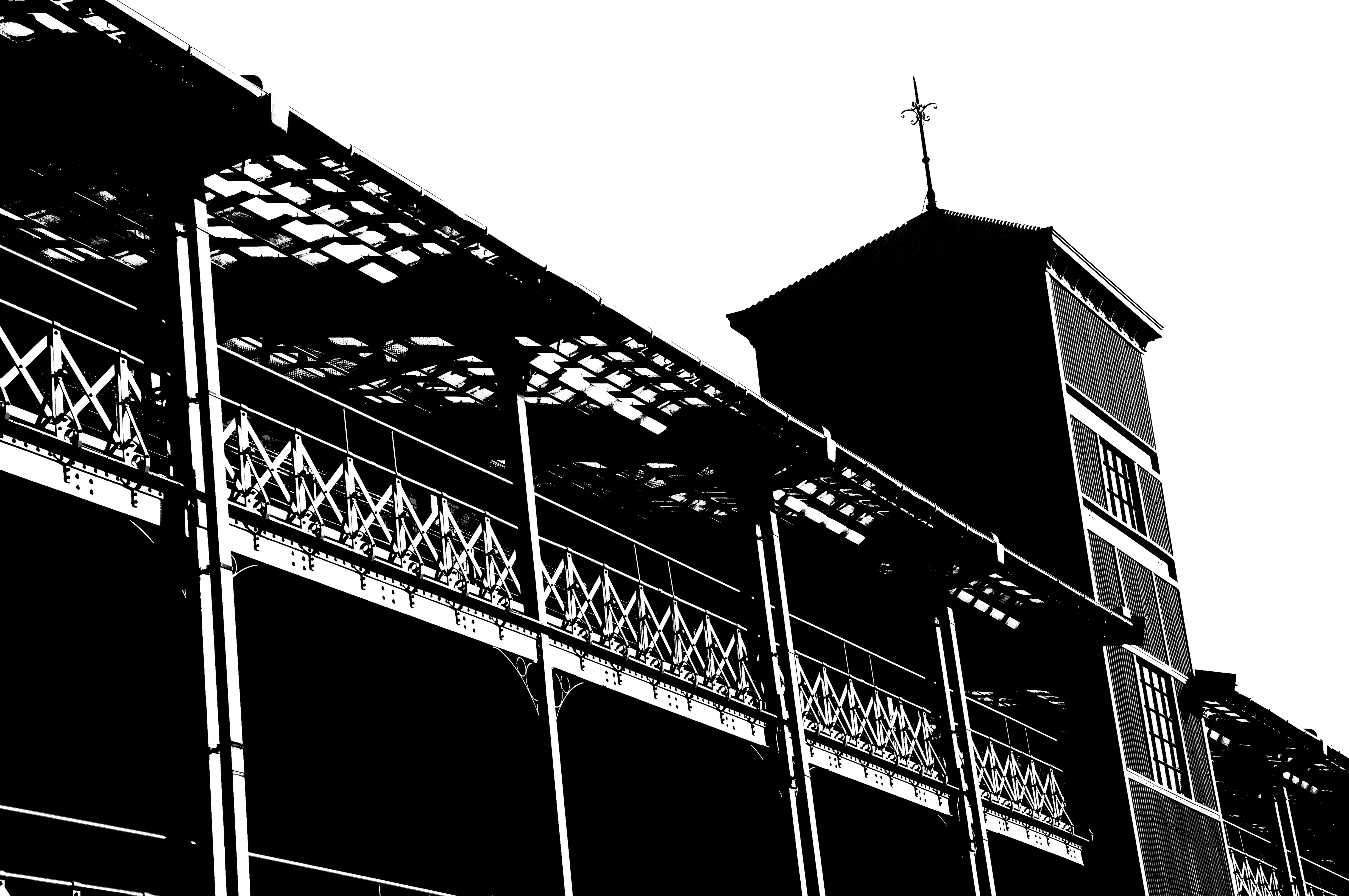 <b>ピクチャーエフェクト:ポスタリゼーション（白黒）α55 / AF 18-250mm F3.5-6.3 Di II LD Aspherical [IF] Macro / 4,912×3,264 / 1/320秒 / F9 / 0EV / ISO100 / オート / WB:オート / 55mm</b>