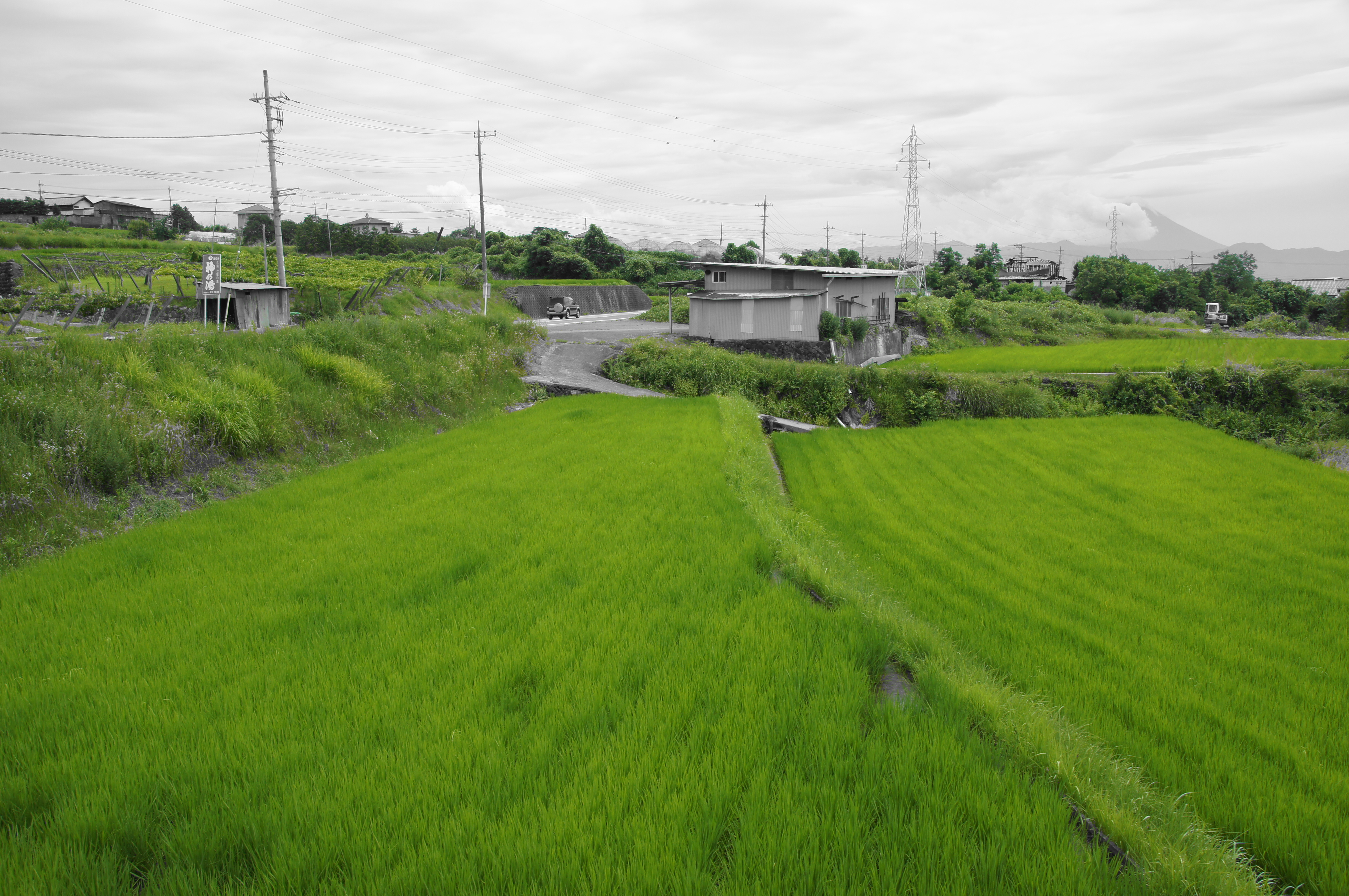 <b>ピクチャーエフェクト:パートカラー（グリーン） / α55 / DT 16-80mm F3.5-4.5 ZA / 4,912×3,264 / 1/160秒 / F10 / -0.3EV / ISO100 / オート / WB:5,000K / 18mm</b>