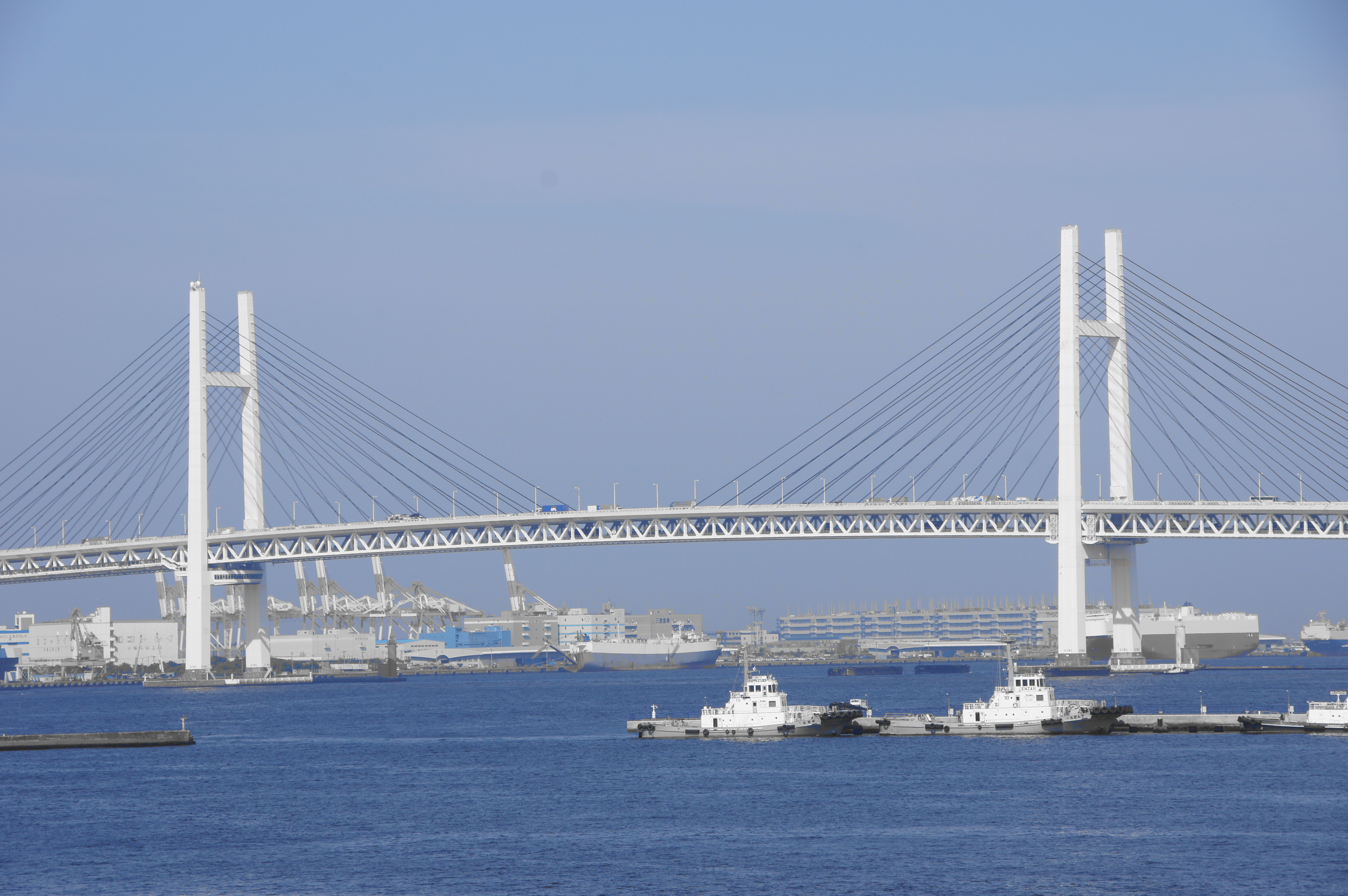 <b>ピクチャーエフェクト:パートカラー（ブルー） / α55 / AF 18-250mm F3.5-6.3 Di II LD Aspherical [IF] Macro / 4,912×3,264 / 1/200秒 / F11 / +0.3EV / ISO100 / オート / WB:オート / 100mm</b>