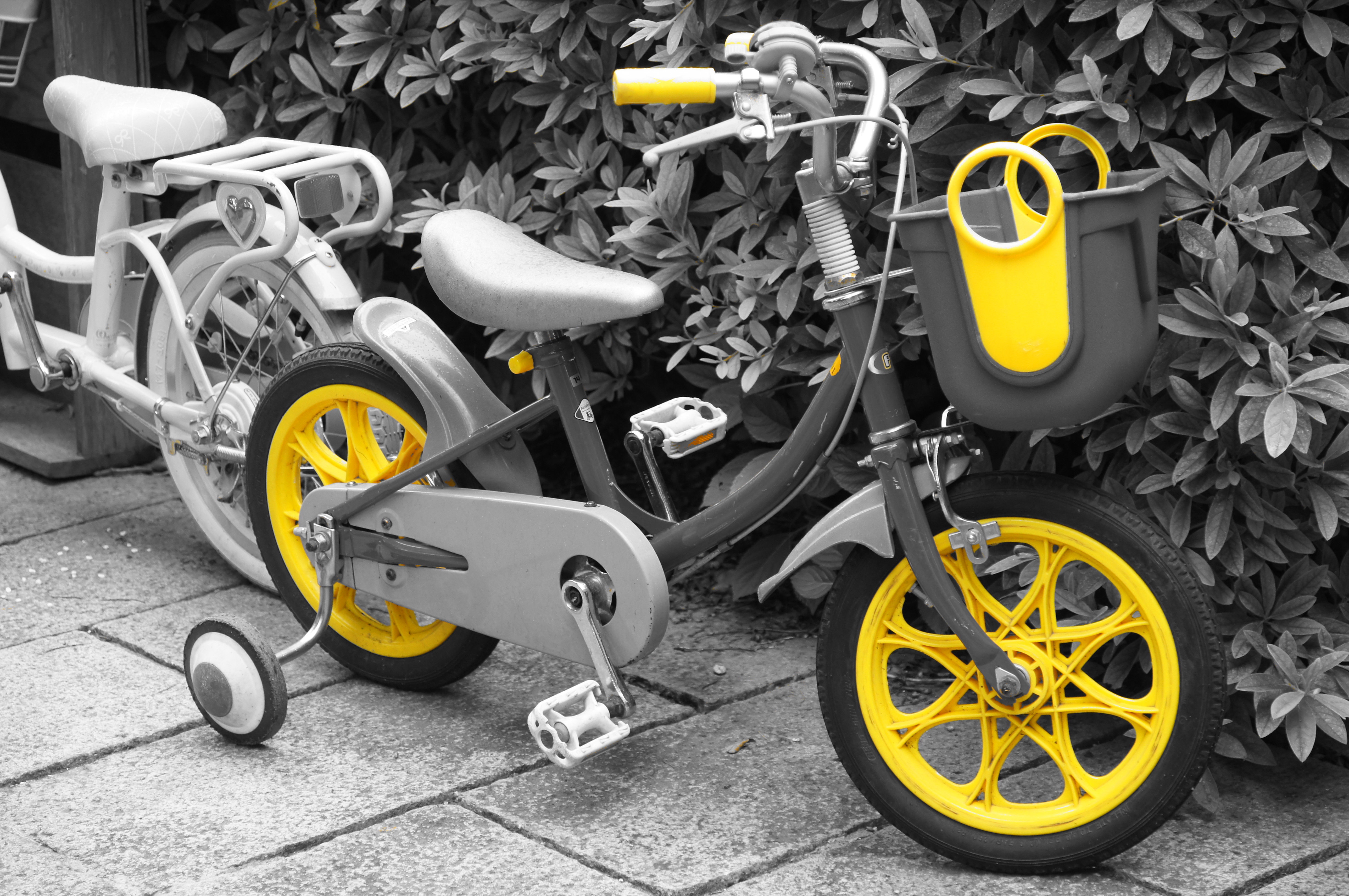 <b>ピクチャーエフェクト:パートカラー（イエロー） / α55 / DT 16-80mm F3.5-4.5 ZA / 4,912×3,264 / 1/125秒 / F4.5 / 0EV / ISO320 / オート / WB:オート / 70mm</b>