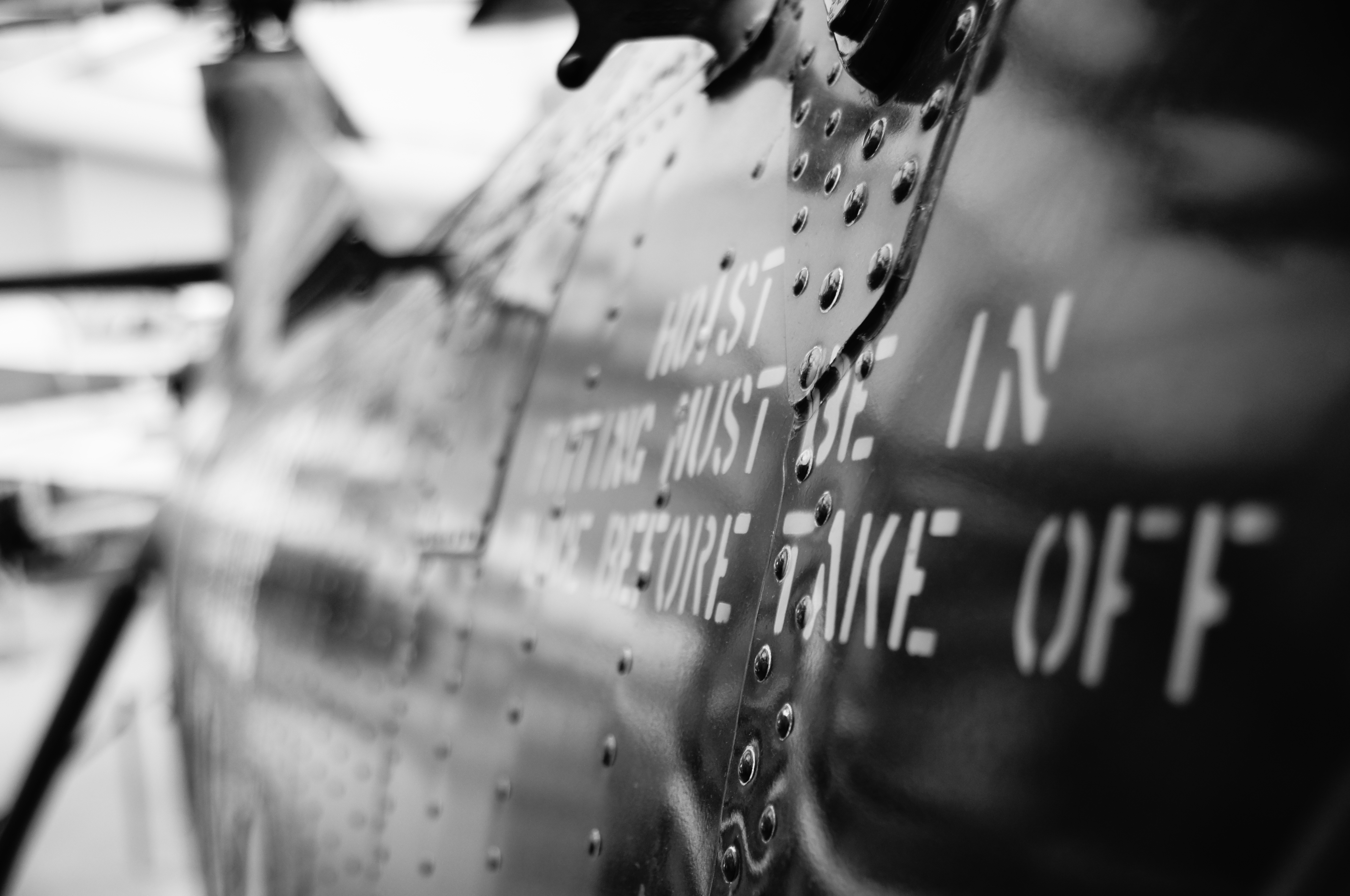 <b>ピクチャーエフェクト:ハイコントラストモノクロ / α55 / AF 18-250mm F3.5-6.3 Di II LD Aspherical [IF] Macro / 4,912×3,264 / 1/50秒 / F4 / +0.3EV / ISO160 / オート / WB:オート / 30mm</b>