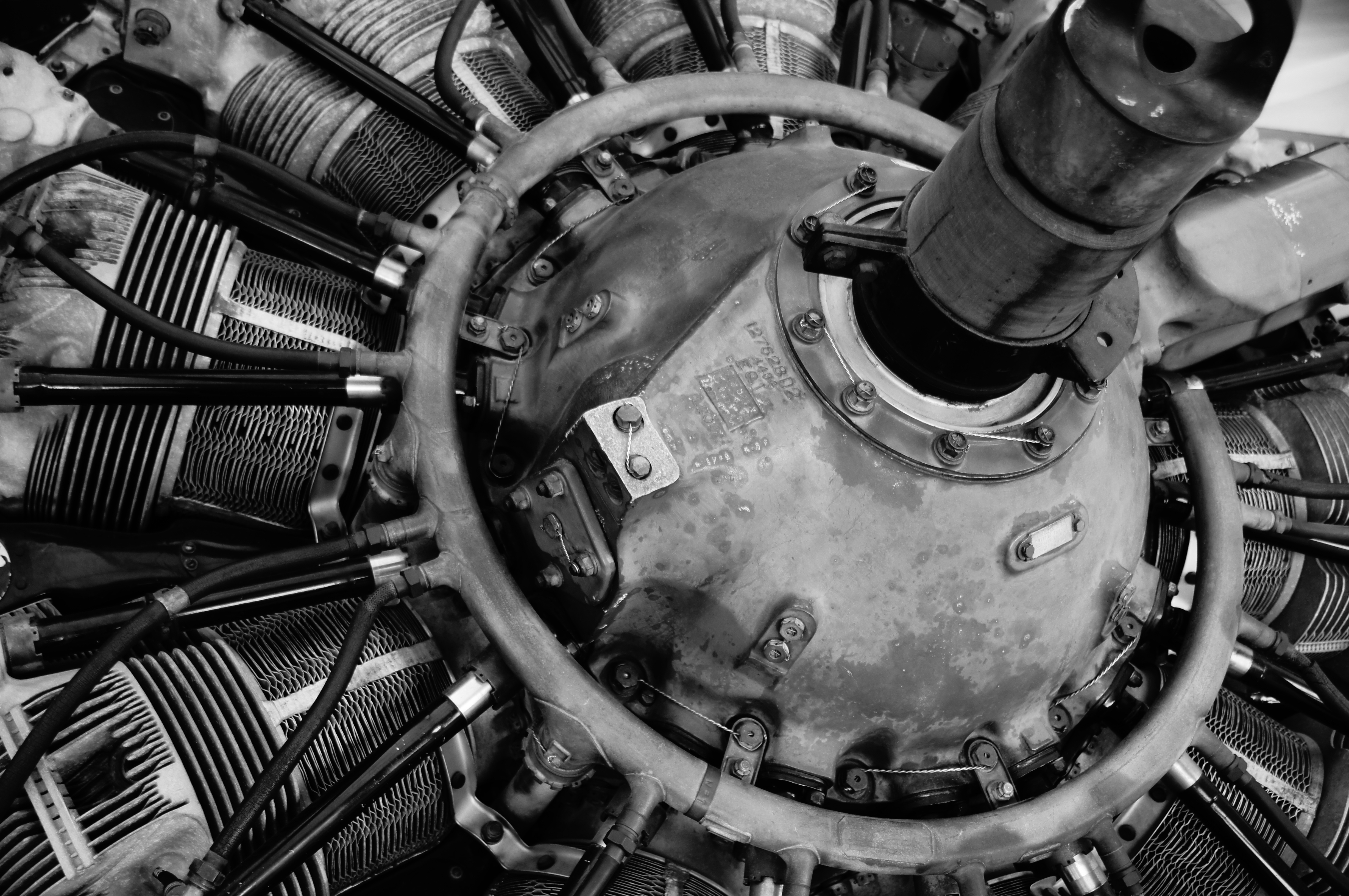 <b>ピクチャーエフェクト:ハイコントラストモノクロ / α55 / AF 18-250mm F3.5-6.3 Di II LD Aspherical [IF] Macro / 4,912×3,264 / 1/50秒 / F4 / -0.3EV / ISO160 / オート / WB:オート / 30mm</b>