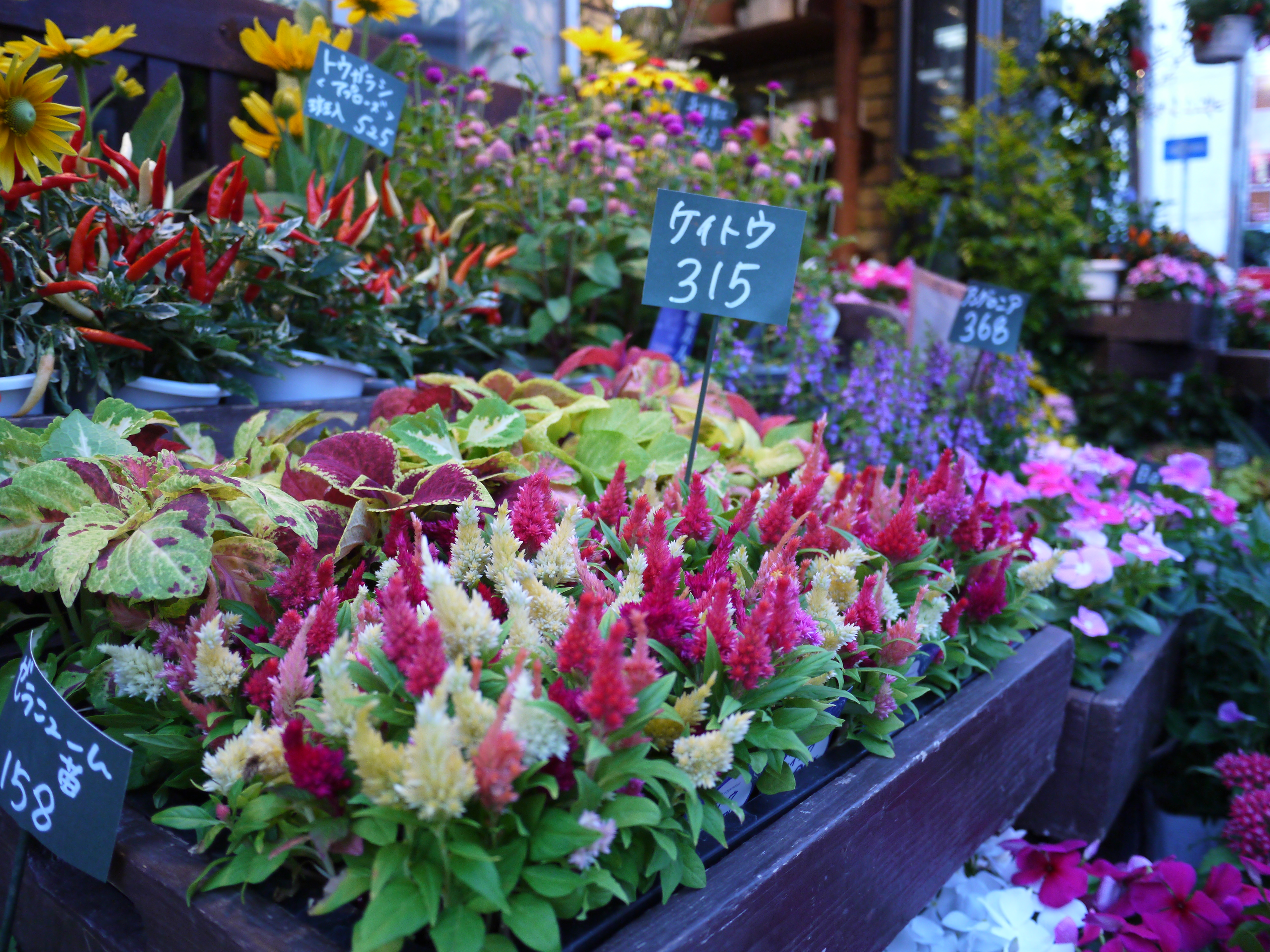 <b>青っぽい色味</b>