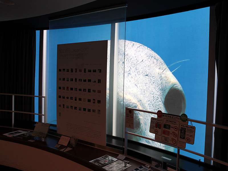 <b>外に掲示したアシカの顔が受付の脇から見える</b>