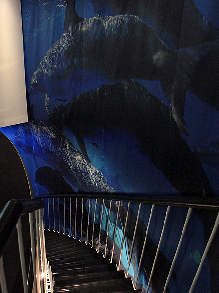 <b>階段は、“海に潜る感覚”をイメージした</b>