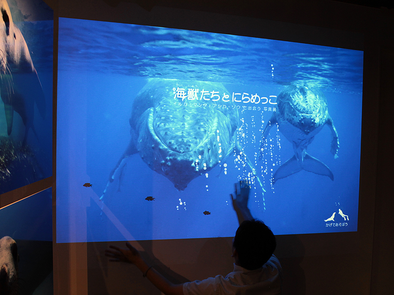 <b>階段を降りるとプロジェクターによる展示がある。人の動きにあわせて気泡が表示される</b>