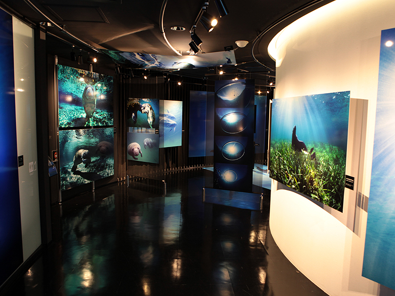 <b>海獣たちとにらめっこの会場風景</b>