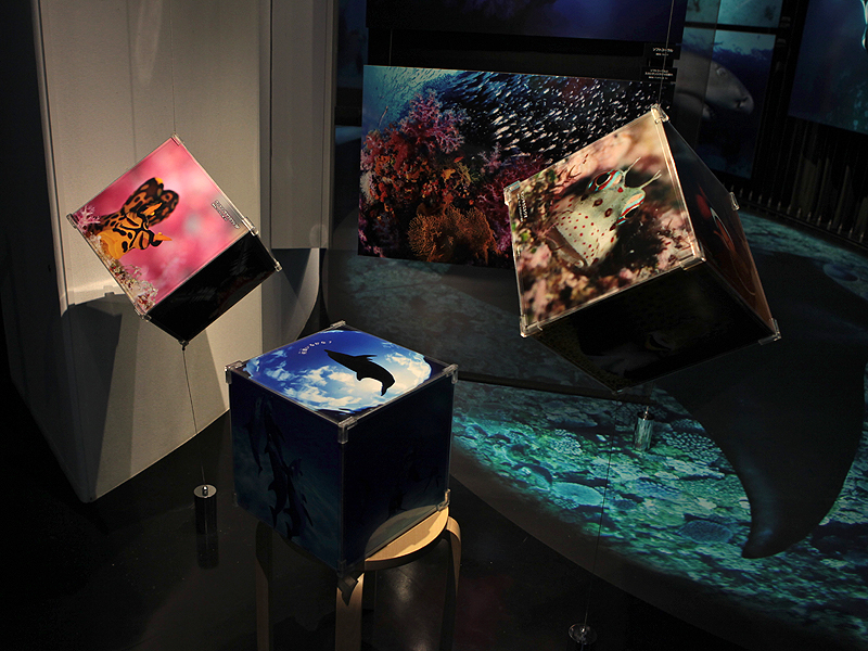 <b>キューブ型にした作品も。「子どもの目線で、触りながら見てもらえれば」と橋本氏</b>