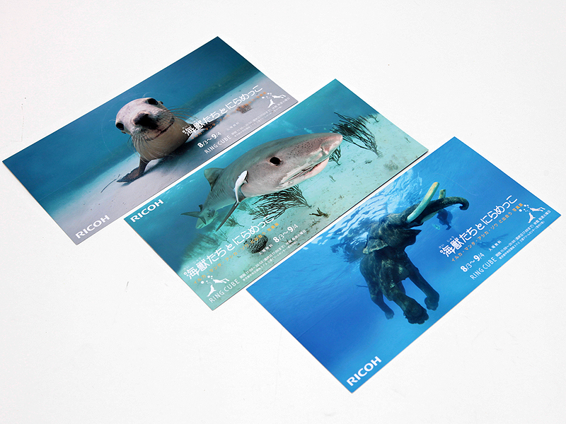 <b>ダイレクトメールは3種類を製作。ミシン目が入っており、折り曲げると立体物として飾ることができる工夫を盛り込んだ。「ダイレクトメールによる話題作りということで、デザインにこだわりました」（斎藤氏）。好評のため増刷し、計3万枚を印刷した</b>