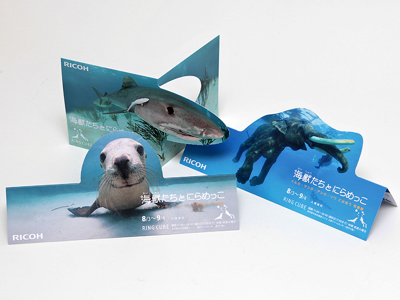 <b>ダイレクトメールは3種類を製作。ミシン目が入っており、折り曲げると立体物として飾ることができる工夫を盛り込んだ。「ダイレクトメールによる話題作りということで、デザインにこだわりました」（斎藤氏）。好評のため増刷し、計3万枚を印刷した</b>