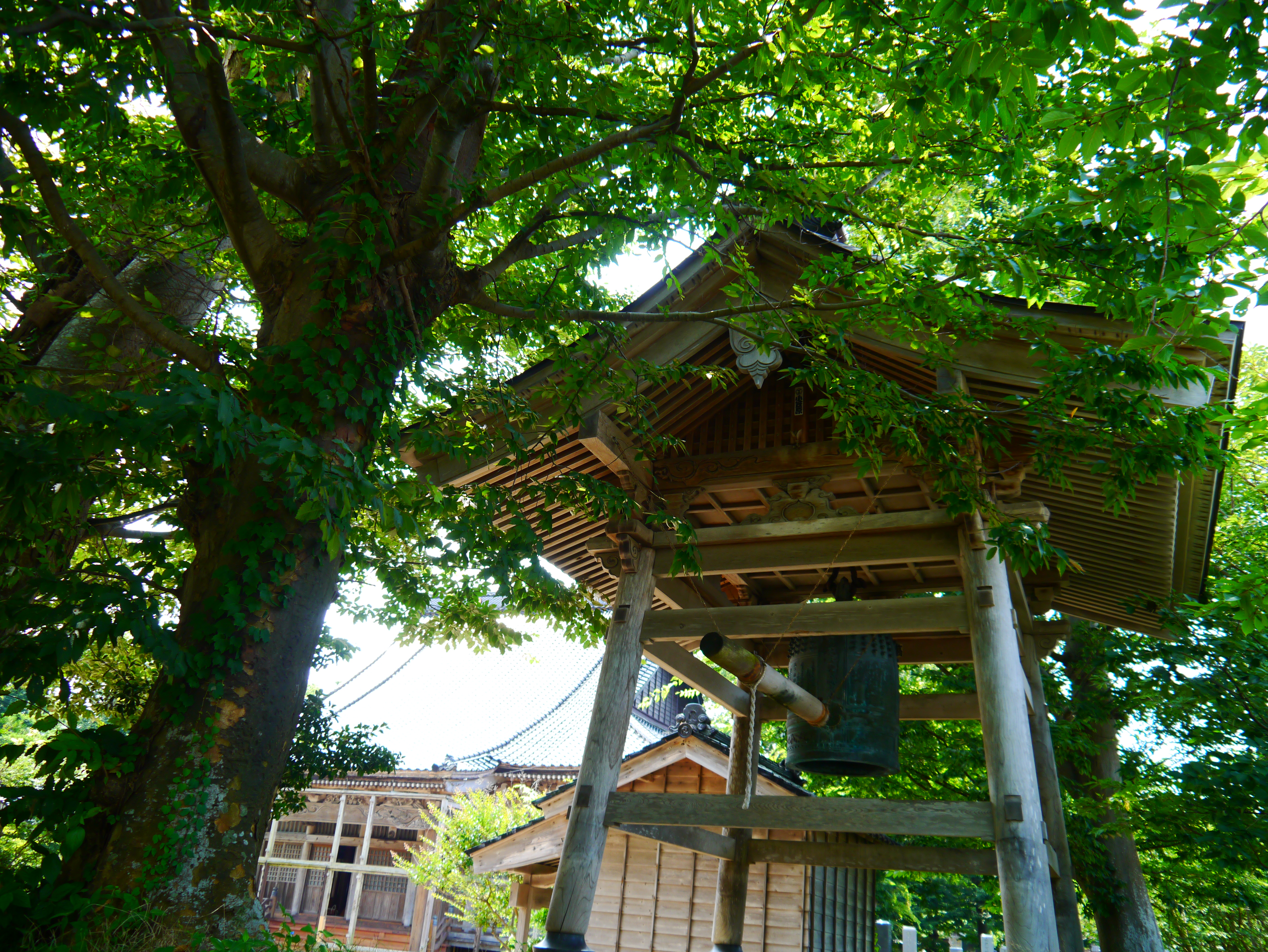 <b>クリエイティブコントロール：ポップ / DMC-G3 / LUMIX G VARIO 14-42mm F3.5-5.6 ASPH. MEGA O.I.S. / 約8.2MB / 4,592×3,448 / 1/125秒 / F3.5 / 0EV / ISO160 / WB:オート / 14mm</b>