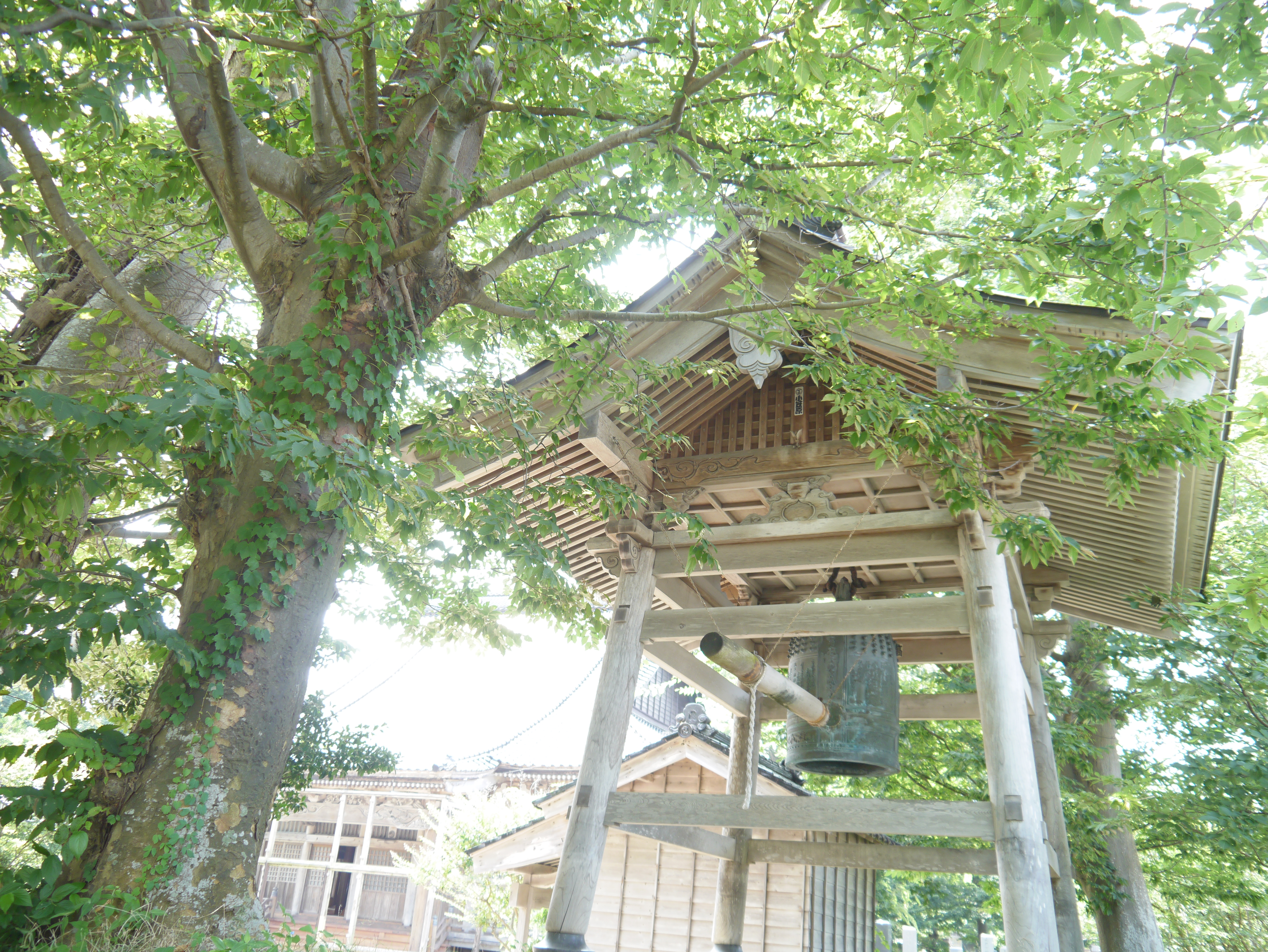 <b>クリエイティブコントロール：ハイキー / DMC-G3 / LUMIX G VARIO 14-42mm F3.5-5.6 ASPH. MEGA O.I.S. / 約8.8MB / 4,592×3,448 / 1/60秒 / F3.5 / 0EV / ISO200 / WB:オート / 14mm</b>