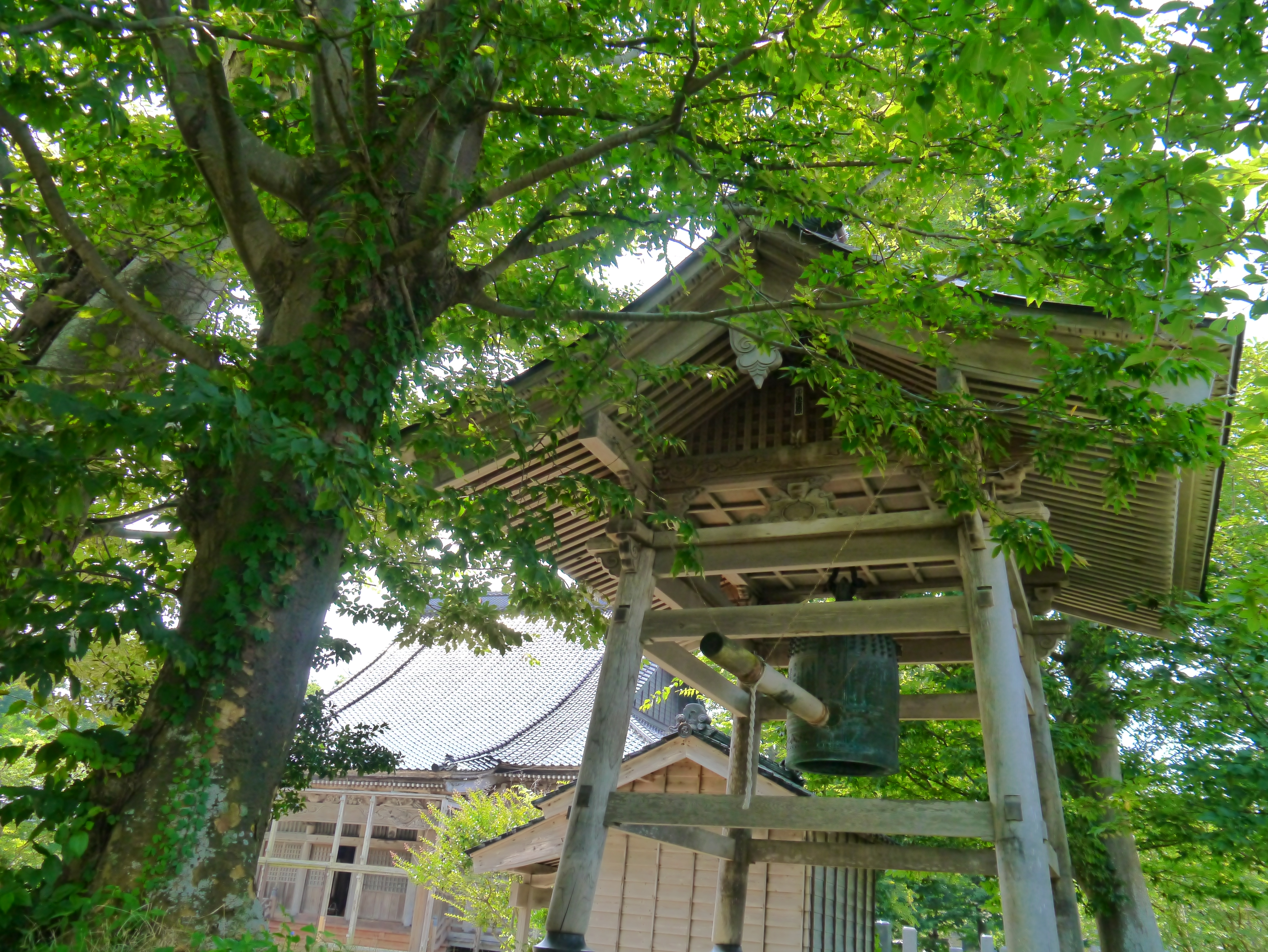 <b>クリエイティブコントロール：ハイダイナミック / DMC-G3 / LUMIX G VARIO 14-42mm F3.5-5.6 ASPH. MEGA O.I.S. / 約8.1MB / 4,592×3,448 / 1/200秒 / F5.6 / 0EV / ISO640 / WB:オート / 14mm</b>