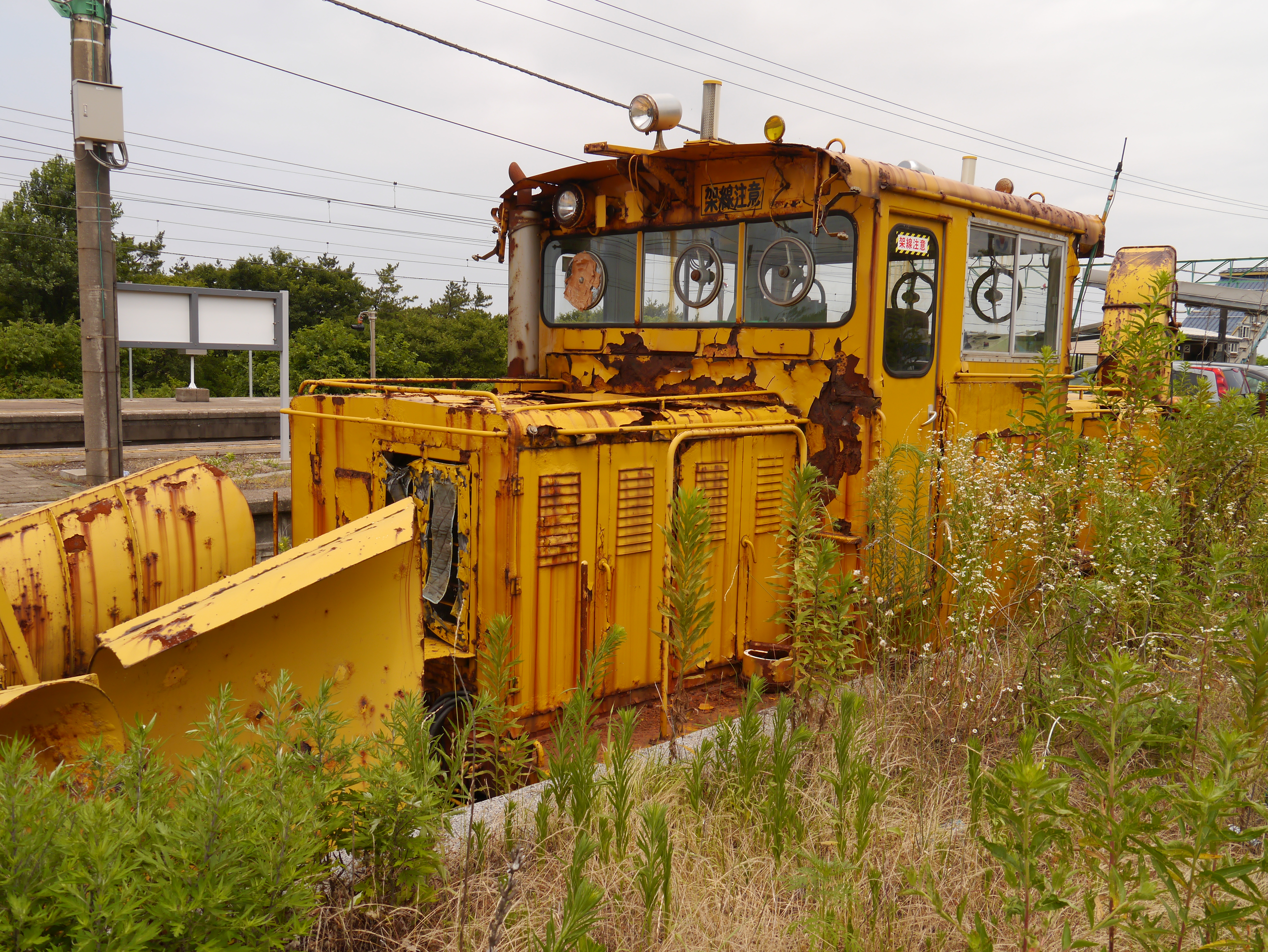 <b>色味：赤め / DMC-G3 / LUMIX G VARIO 14-42mm F3.5-5.6 ASPH. MEGA O.I.S. / 約8.8MB / 4,592×3,448 / 1/500秒 / F7 / 0EV / ISO160 / WB:オート / 15mm</b>